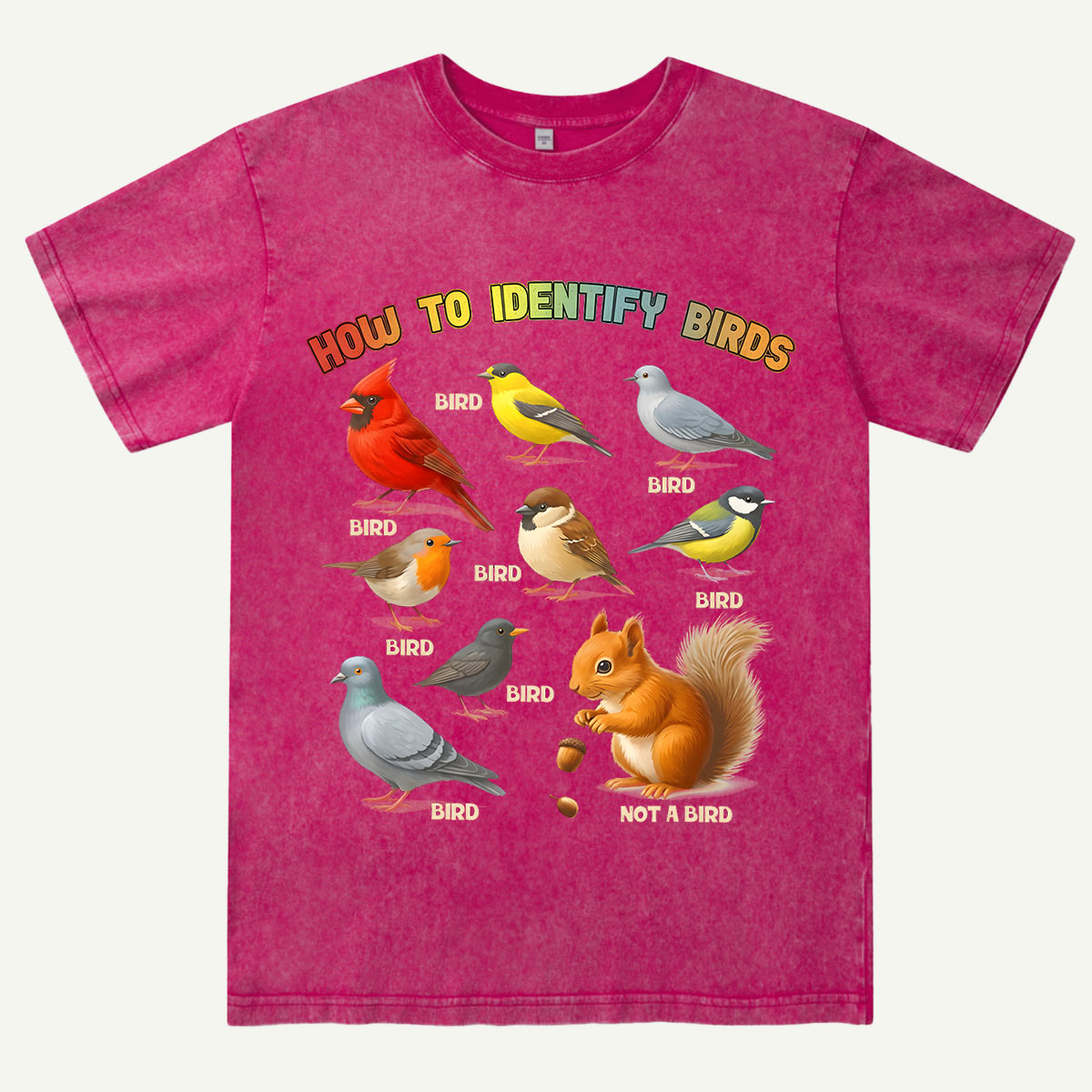 How to Identify Birds Washed T-Shirt