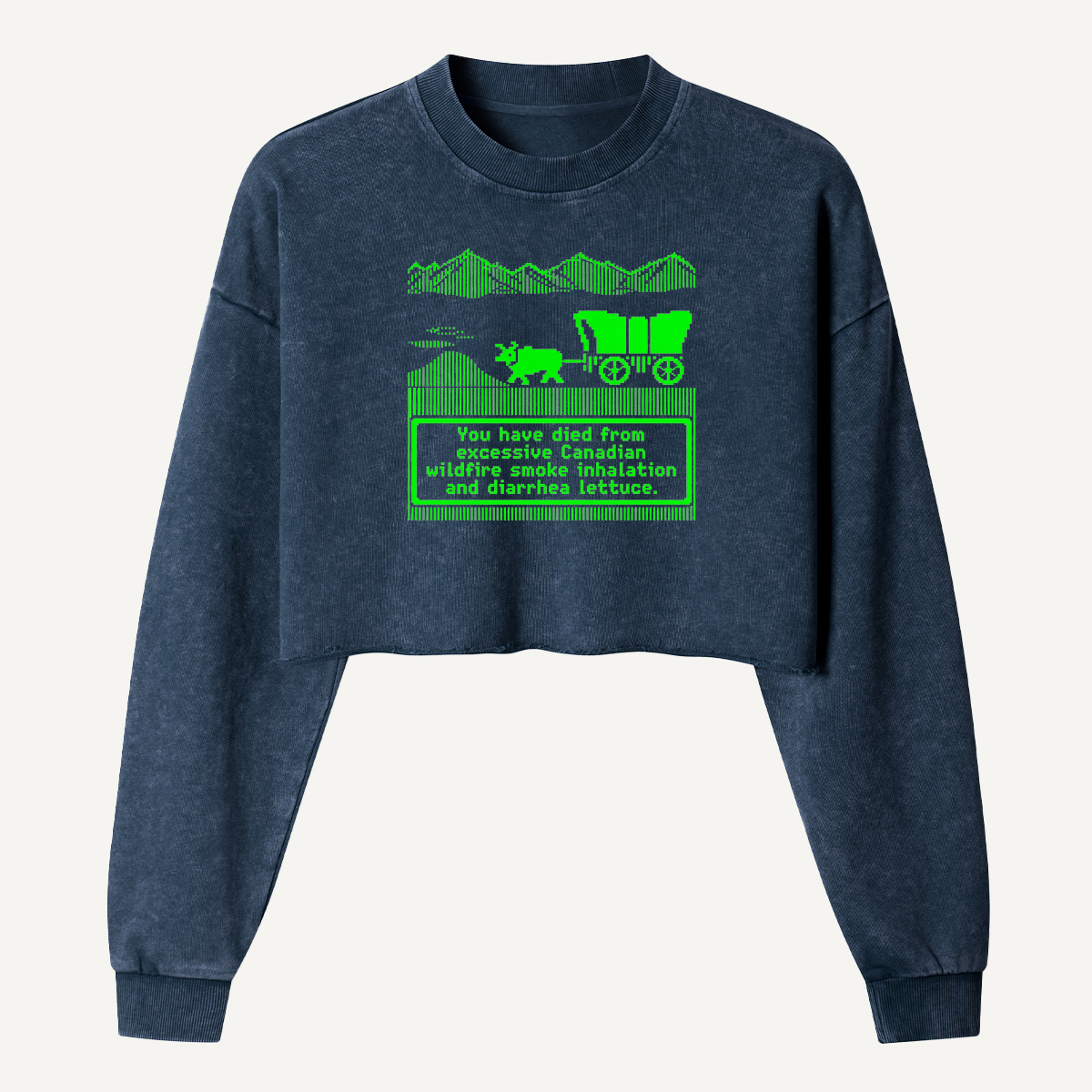 Prehistoric Road Trip Dinosaur Wagon Women's Washed Cropped Sweatshirt