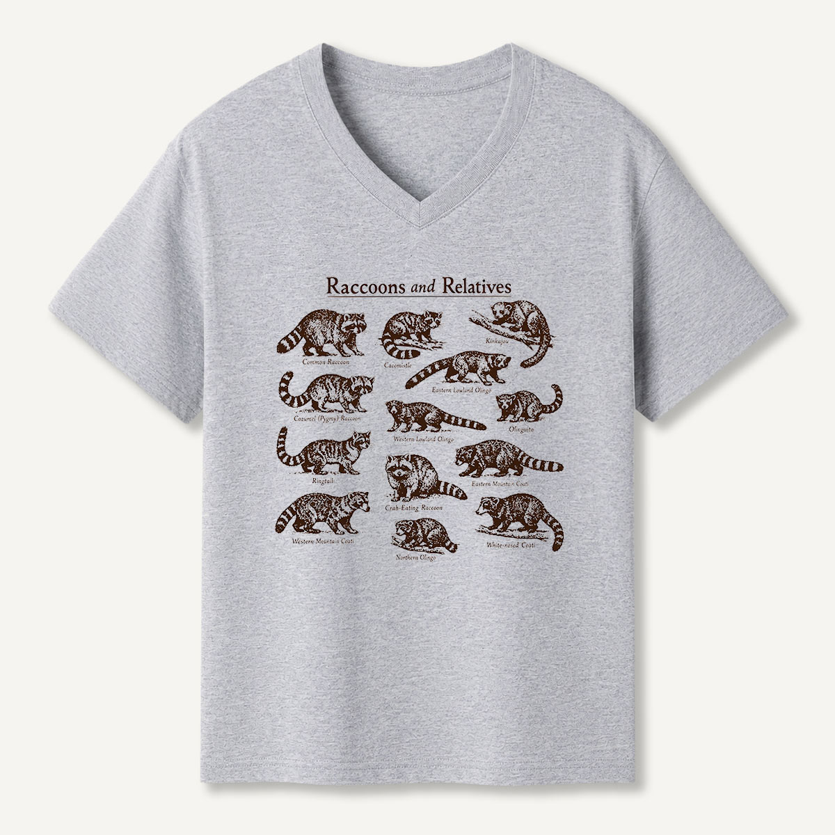 Raccoons And Relatives Vintage Field Guide V-neck T-Shirt