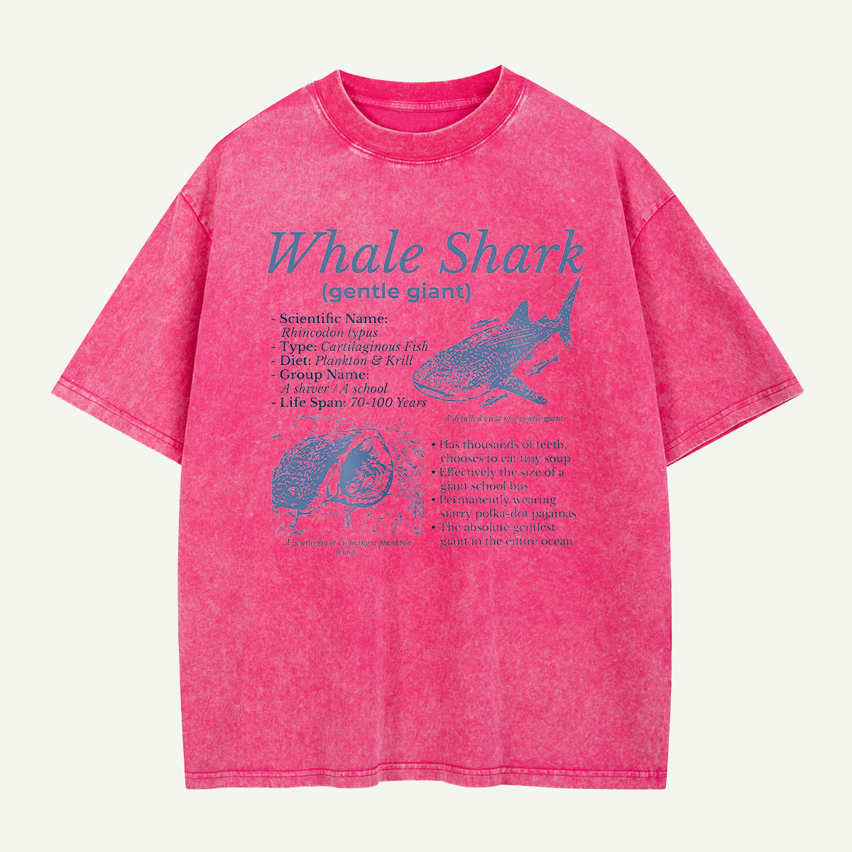 Meet the Gentle Giant Whale Shark Washed T-Shirt