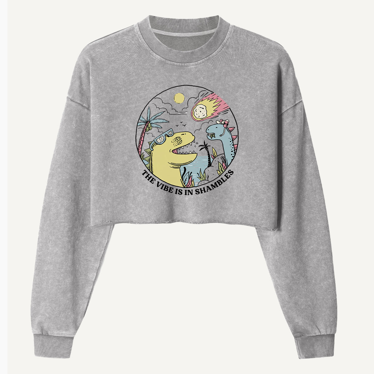 The Vibe Is In Shambles Dinosaur Party Women's Washed Cropped Sweatshirt