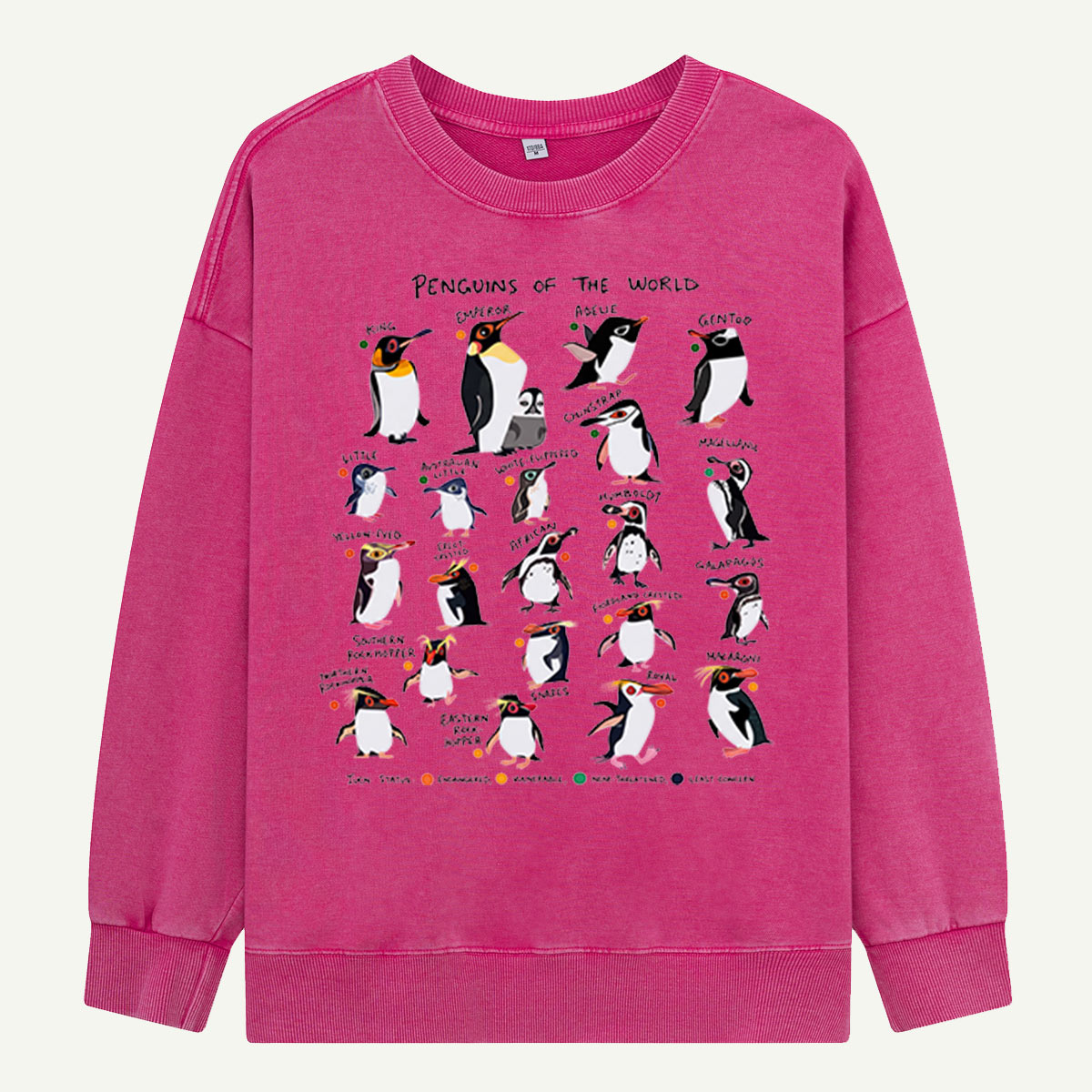 Penguins Of The World Guide Washed Sweatshirts