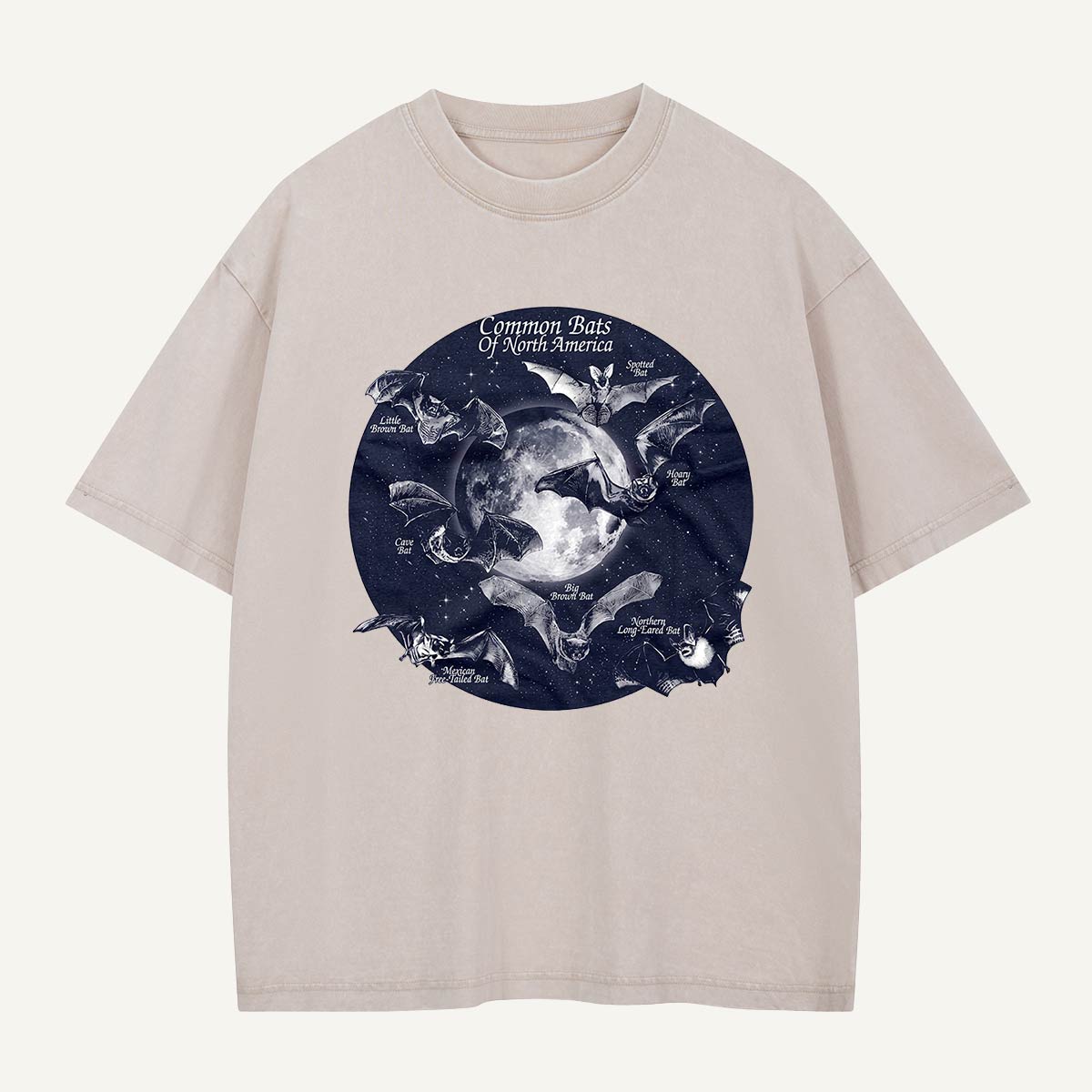 Bats of North America After Dark Washed T-Shirt