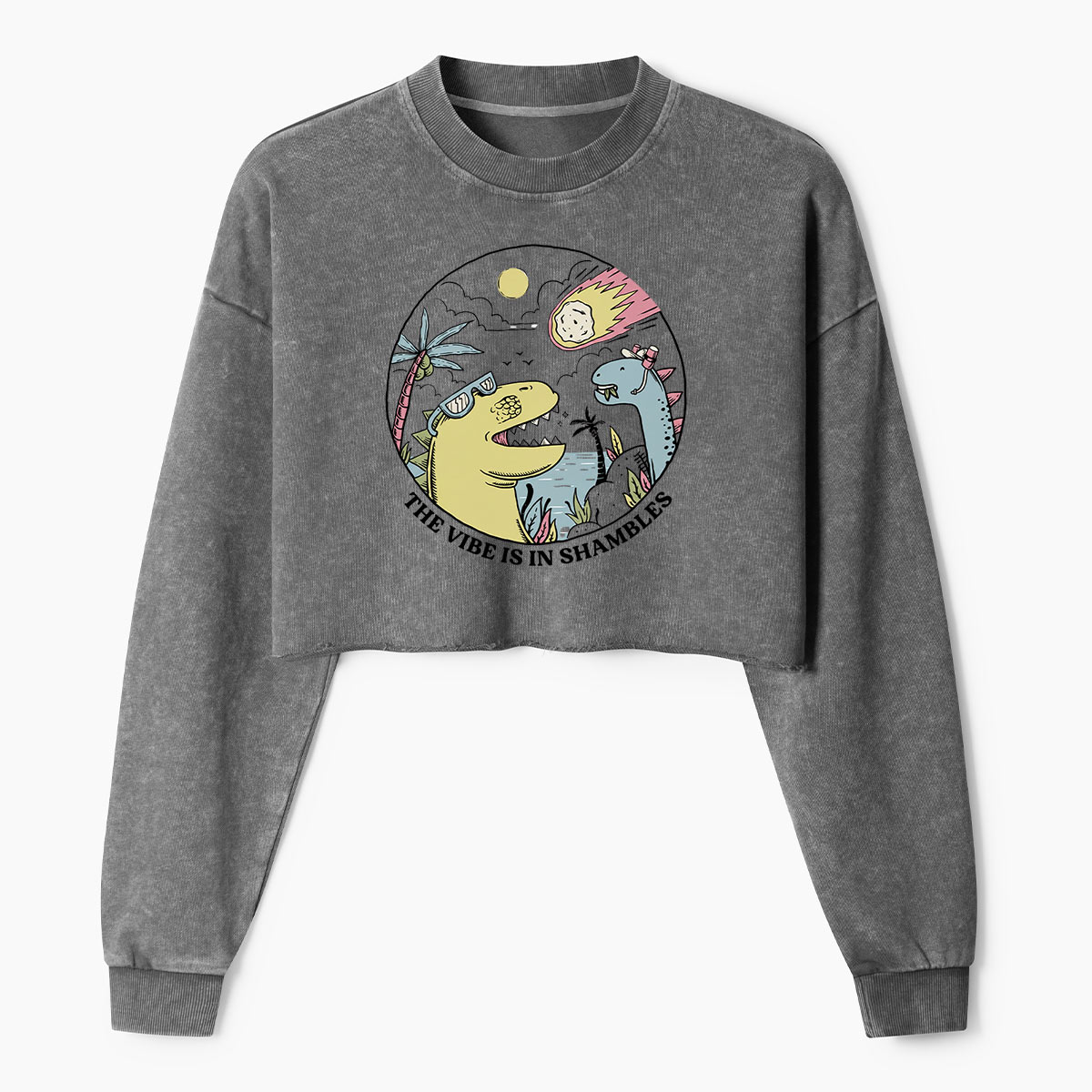 The Vibe Is In Shambles Dinosaur Party Women's Washed Cropped Sweatshirt