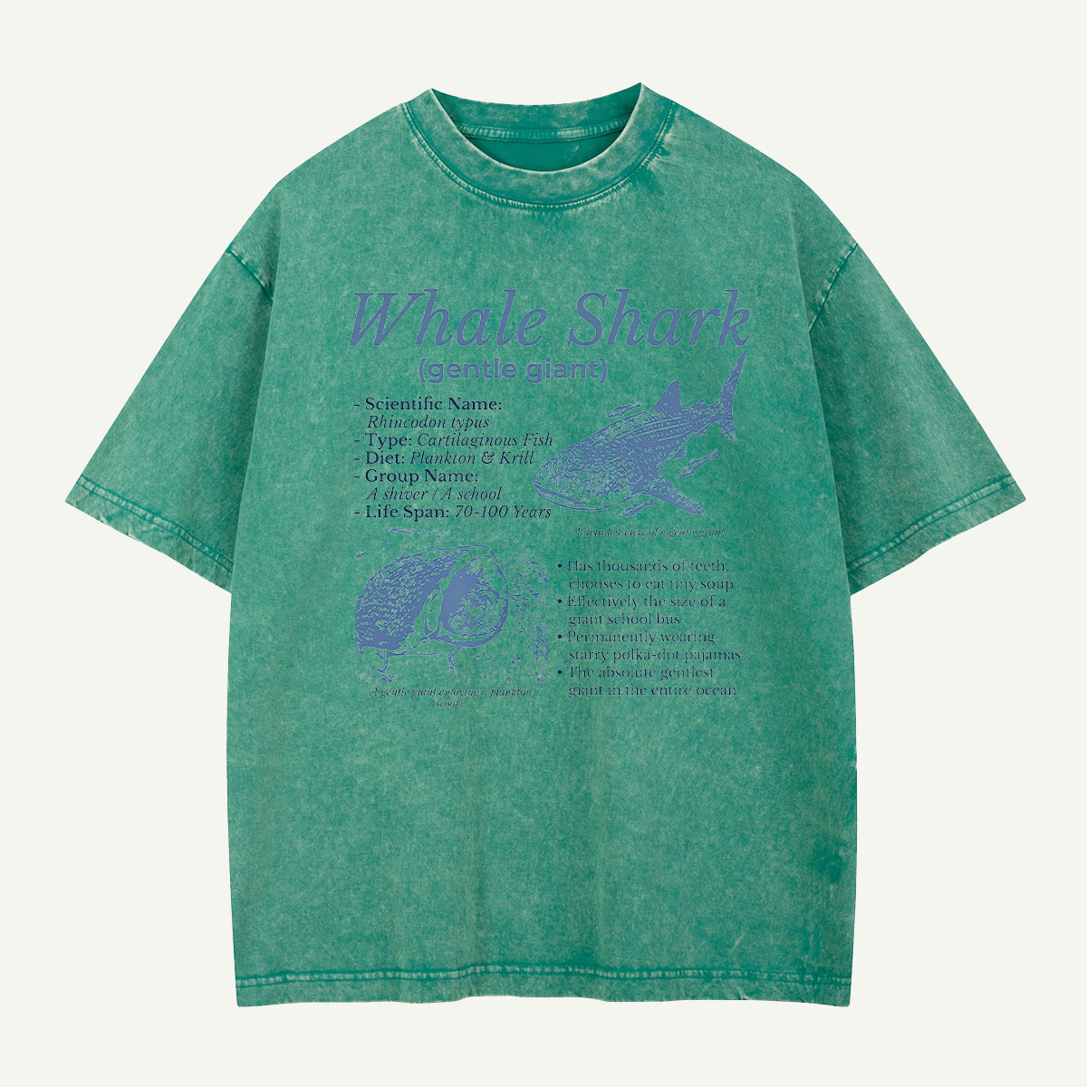 Meet the Gentle Giant Whale Shark Washed T-Shirt