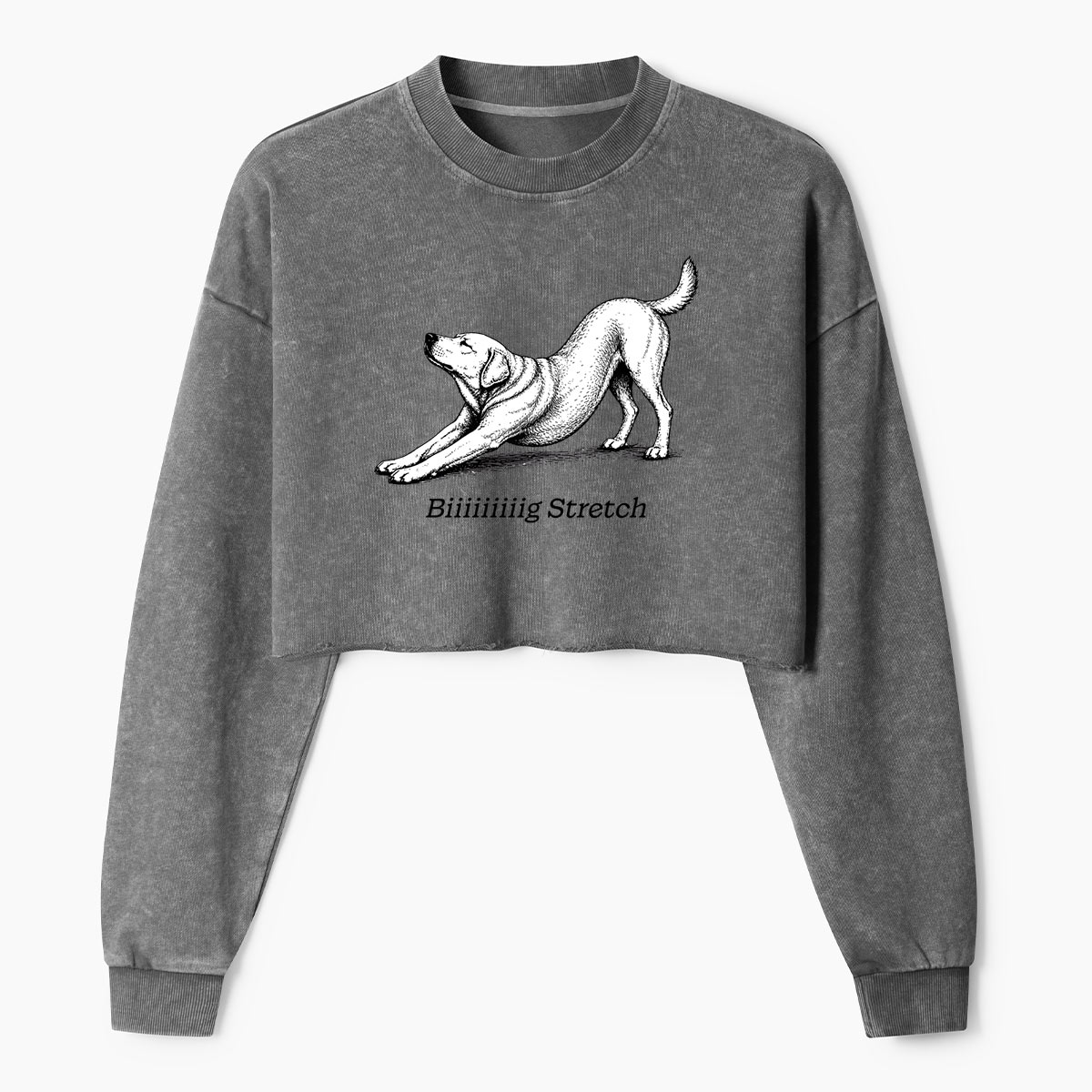 Downward Dog Stretching Hound Women's Washed Cropped Sweatshirt