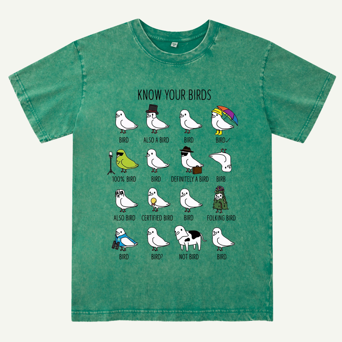 Know Your Birds Bird Chart Washed T-Shirt