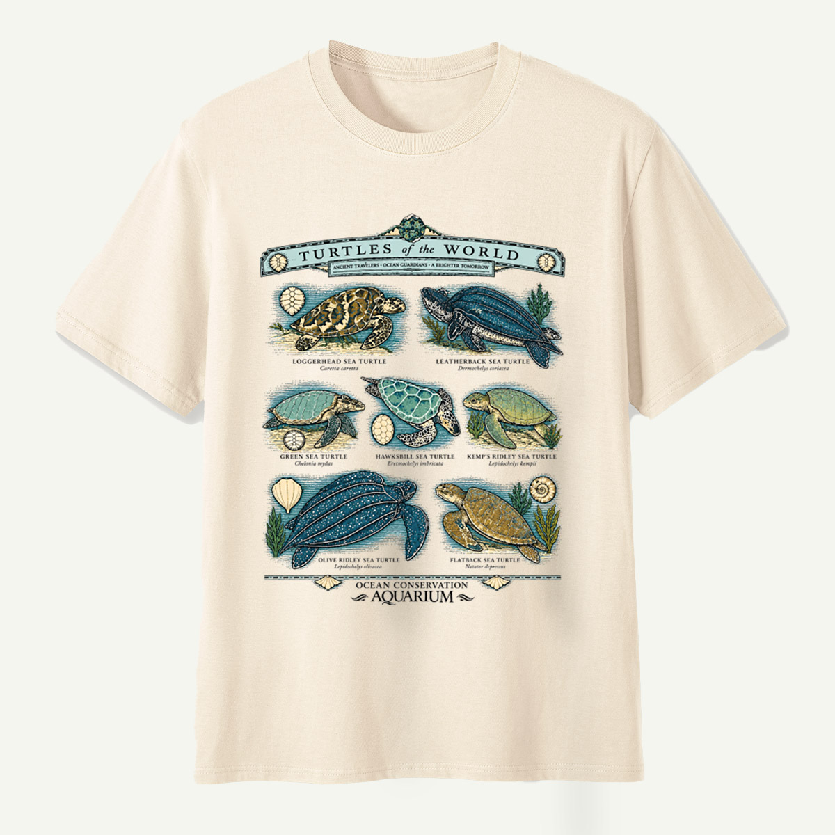 Turtles Of The World Ocean Conservation Field Guide T-Shirt