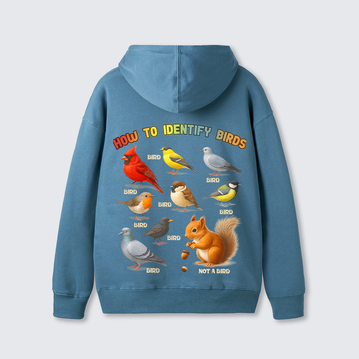 How to Identify Birds Hoodie