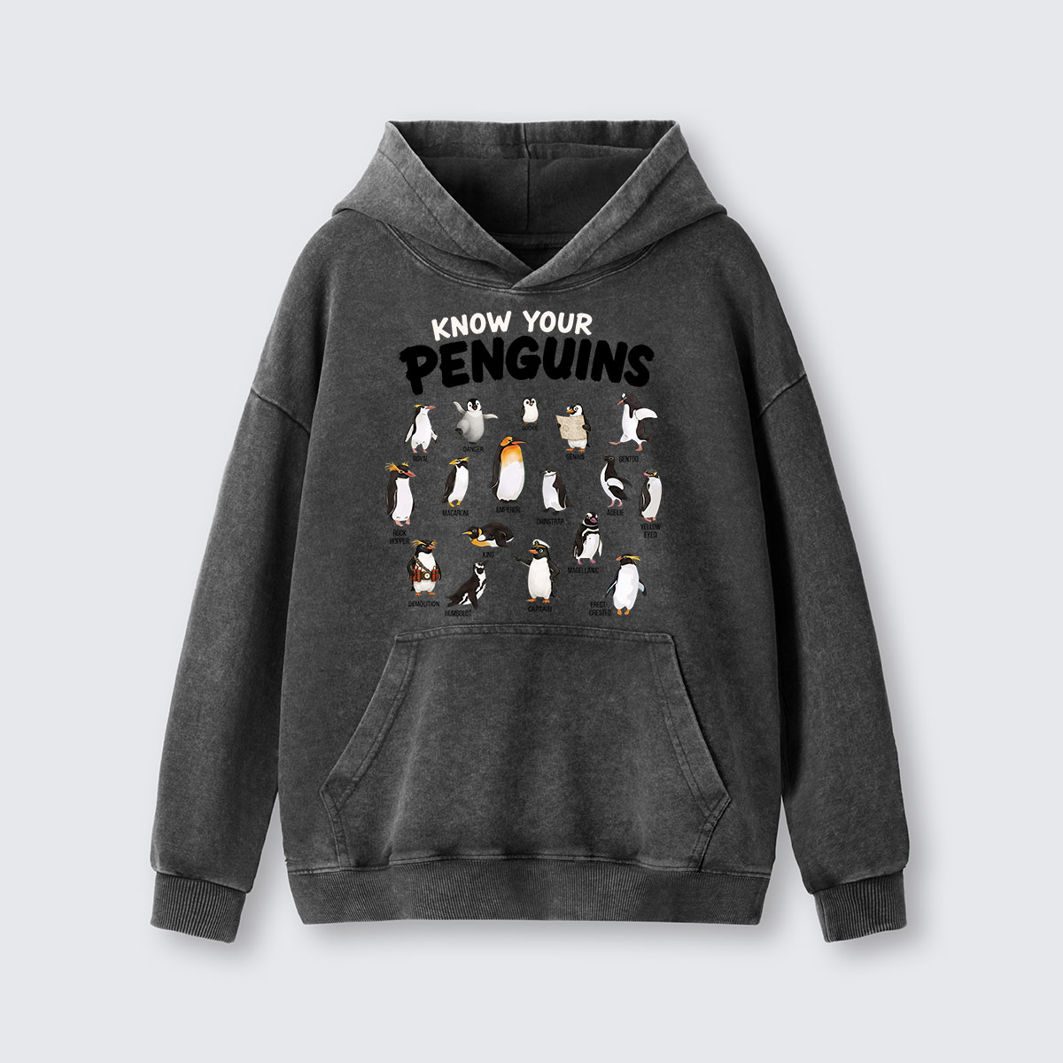 Know Your Penguins Penguin Species Washed Hoodie