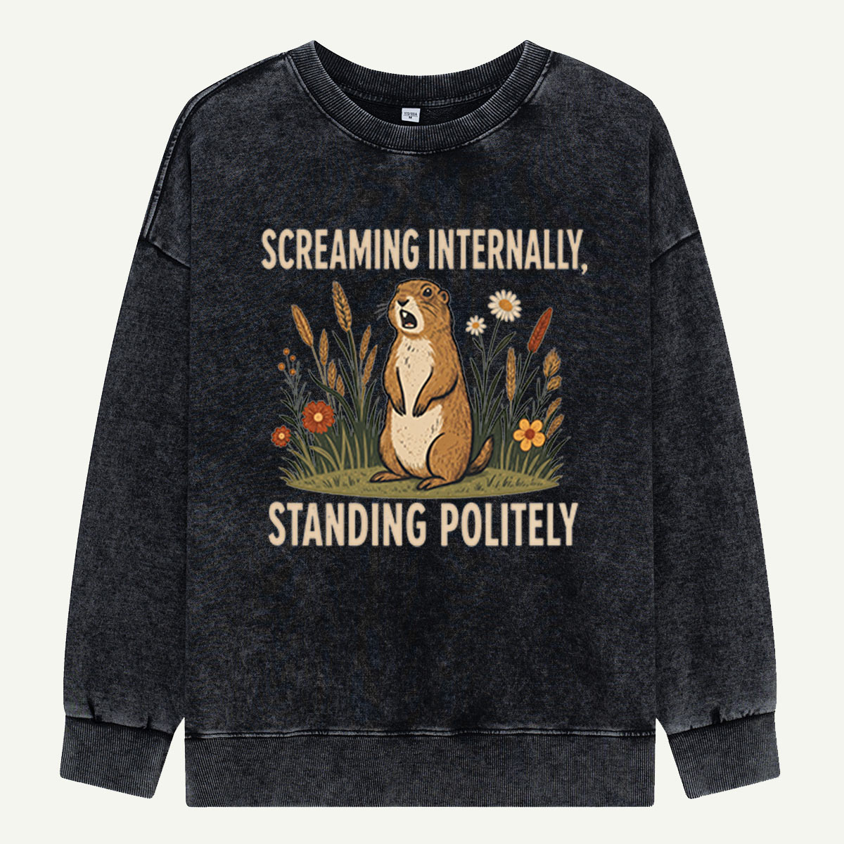 Screaming Internally, Standing Politely Washed Sweatshirts