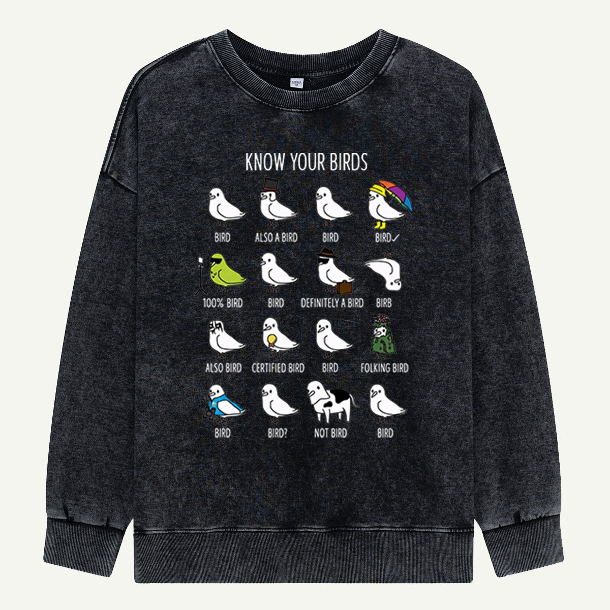 Know Your Birds Bird Chart Washed Sweatshirts