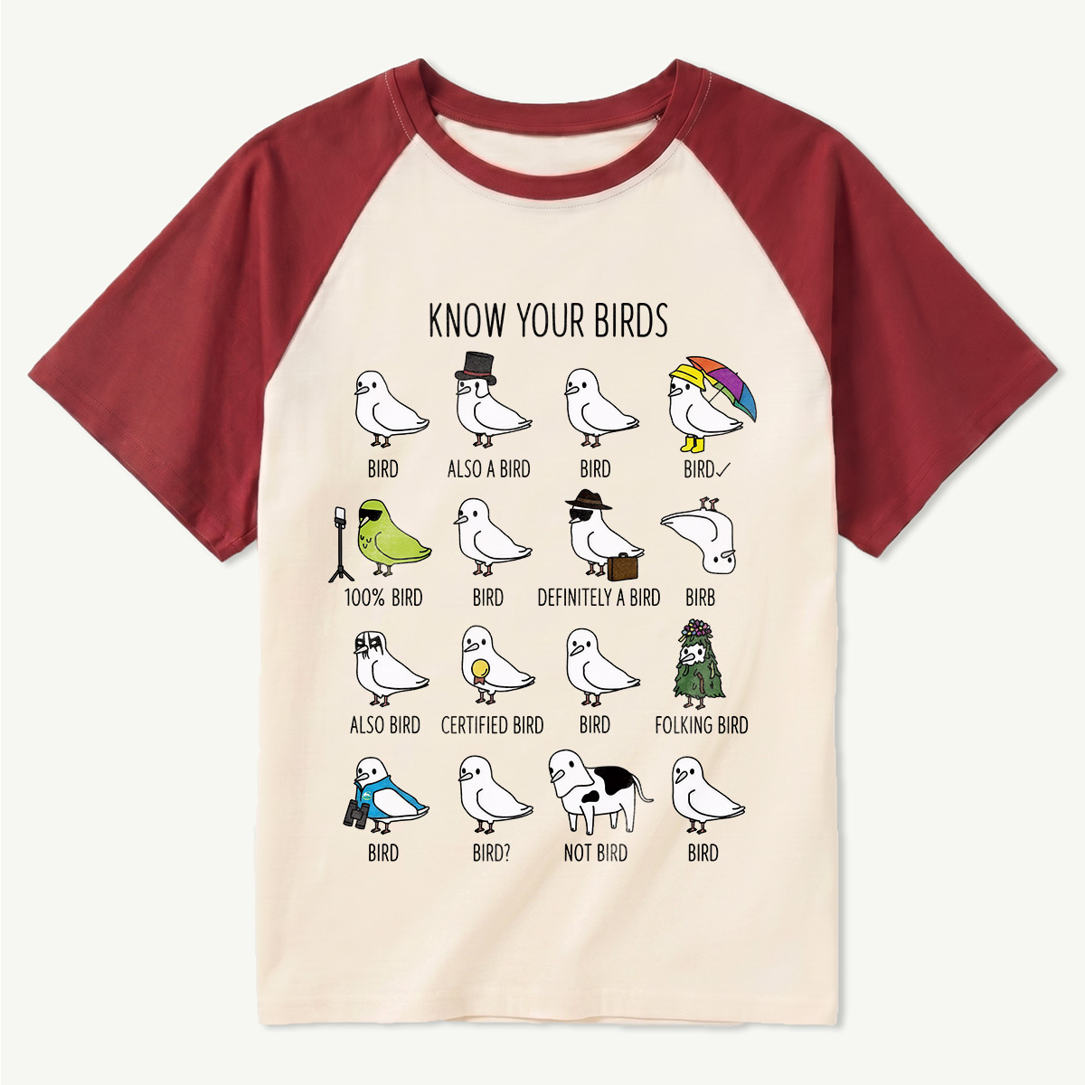 Know Your Birds Bird Chart Raglan T-Shirt