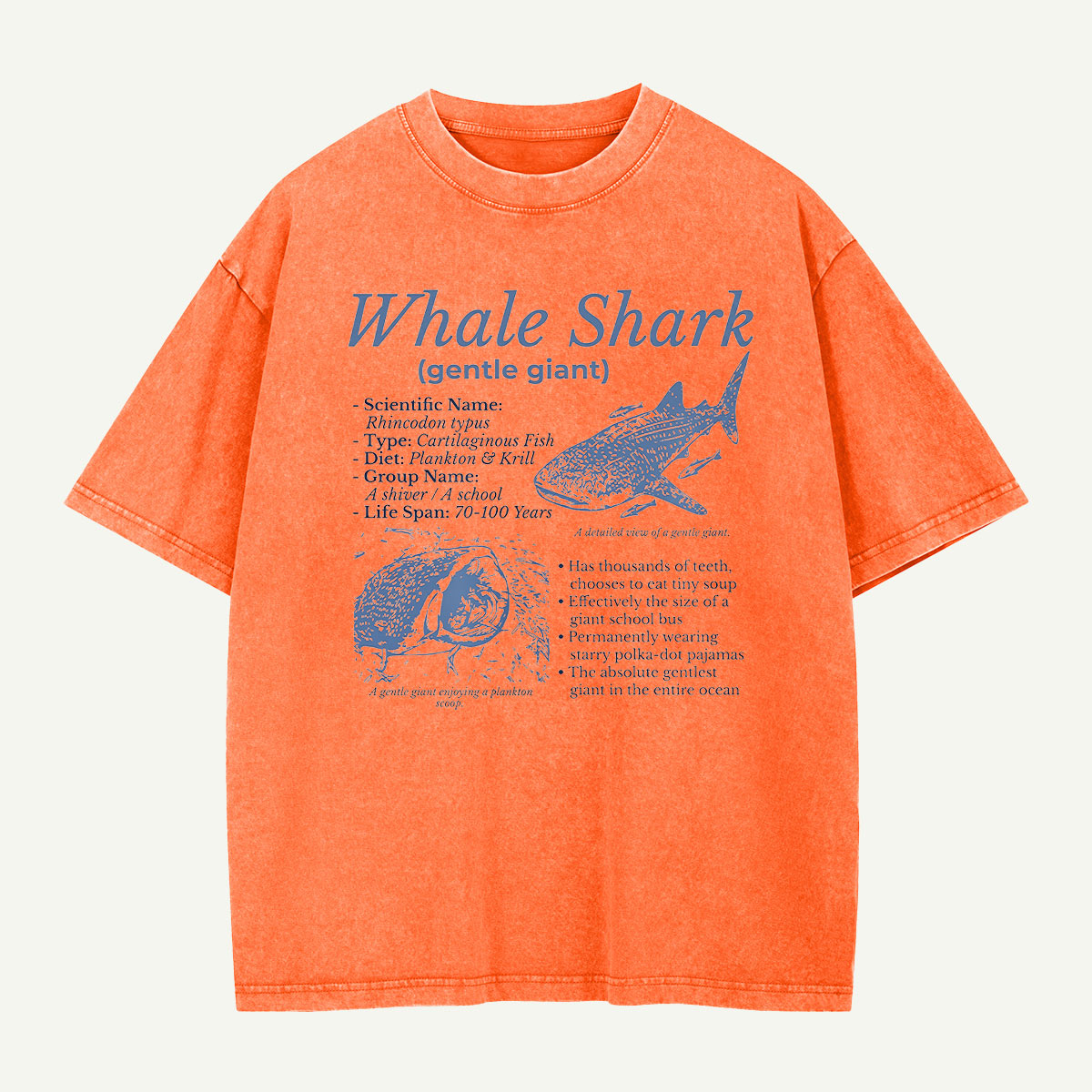 Meet the Gentle Giant Whale Shark Washed T-Shirt