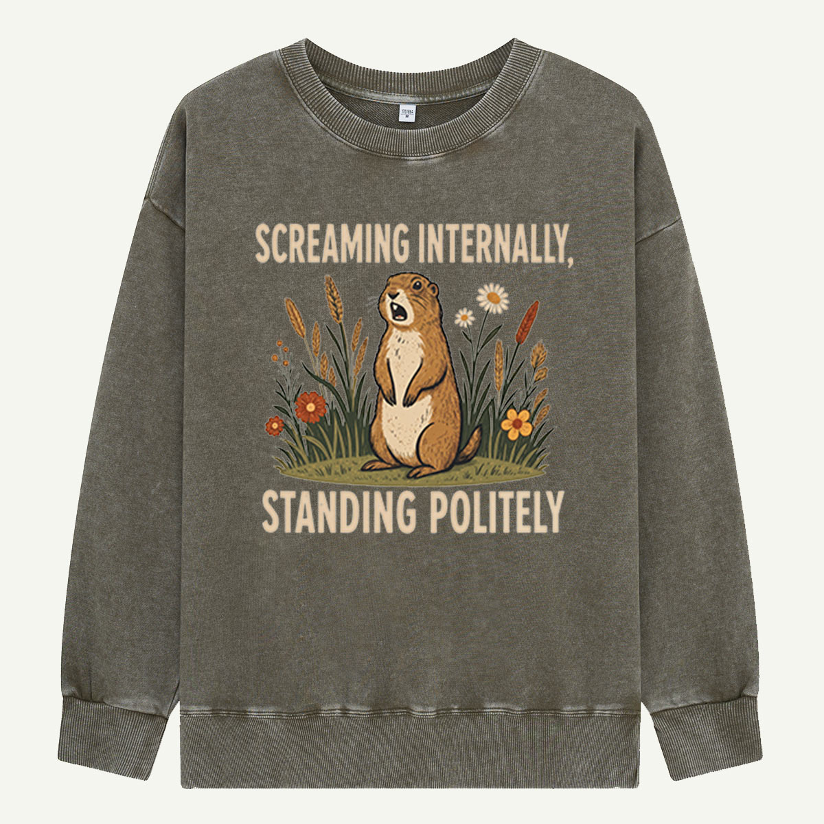 Screaming Internally, Standing Politely Washed Sweatshirts