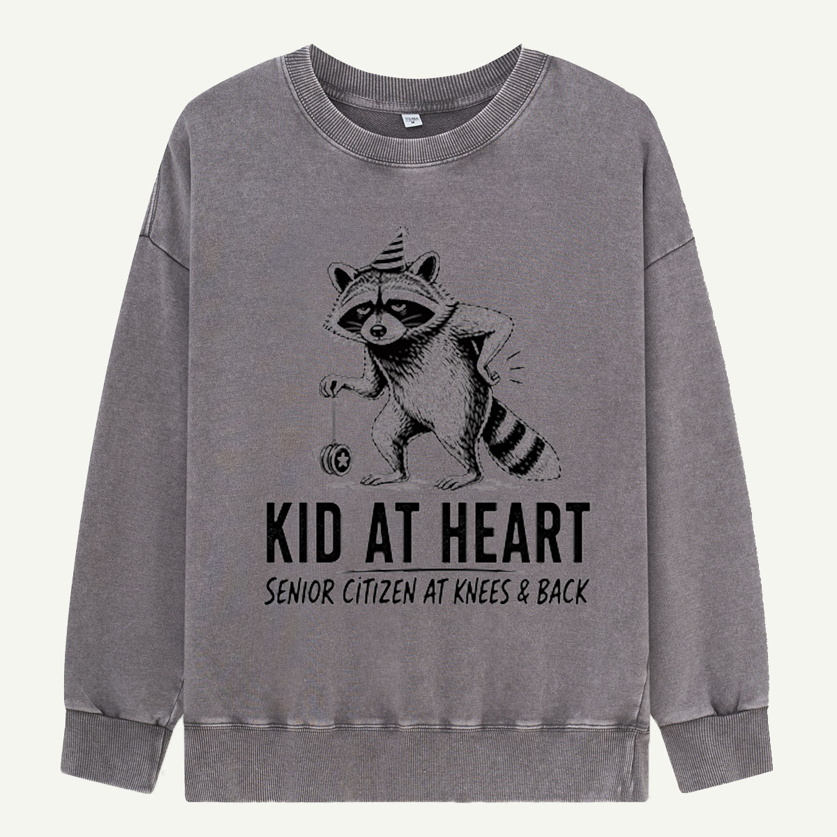 Kid at Heart Raccoon Club Washed Sweatshirts