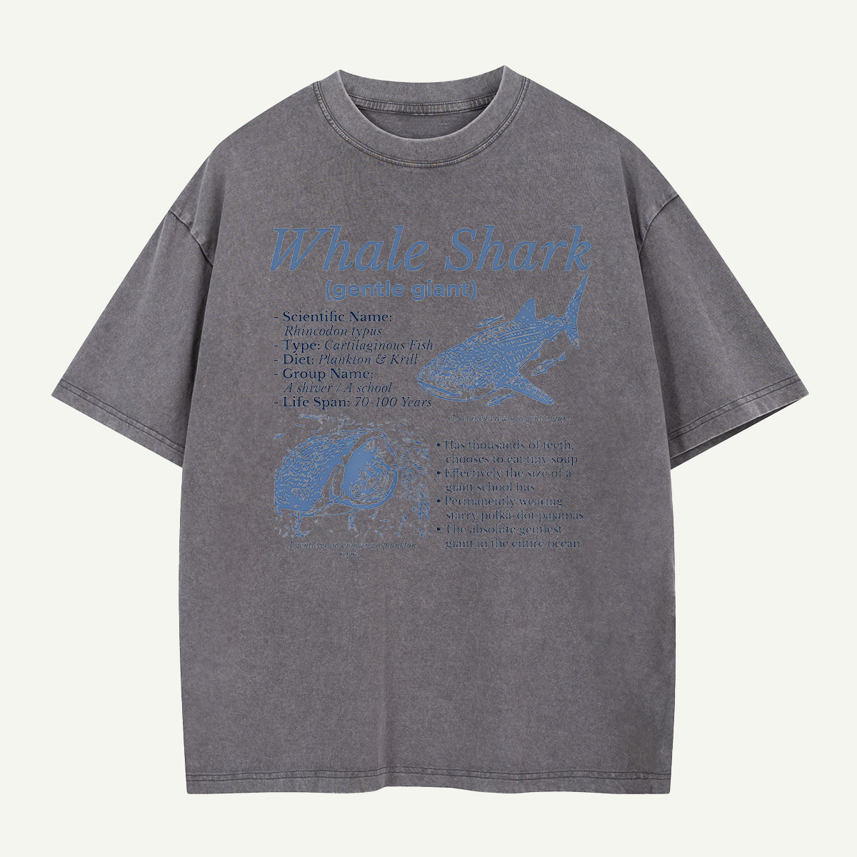 Meet the Gentle Giant Whale Shark Washed T-Shirt