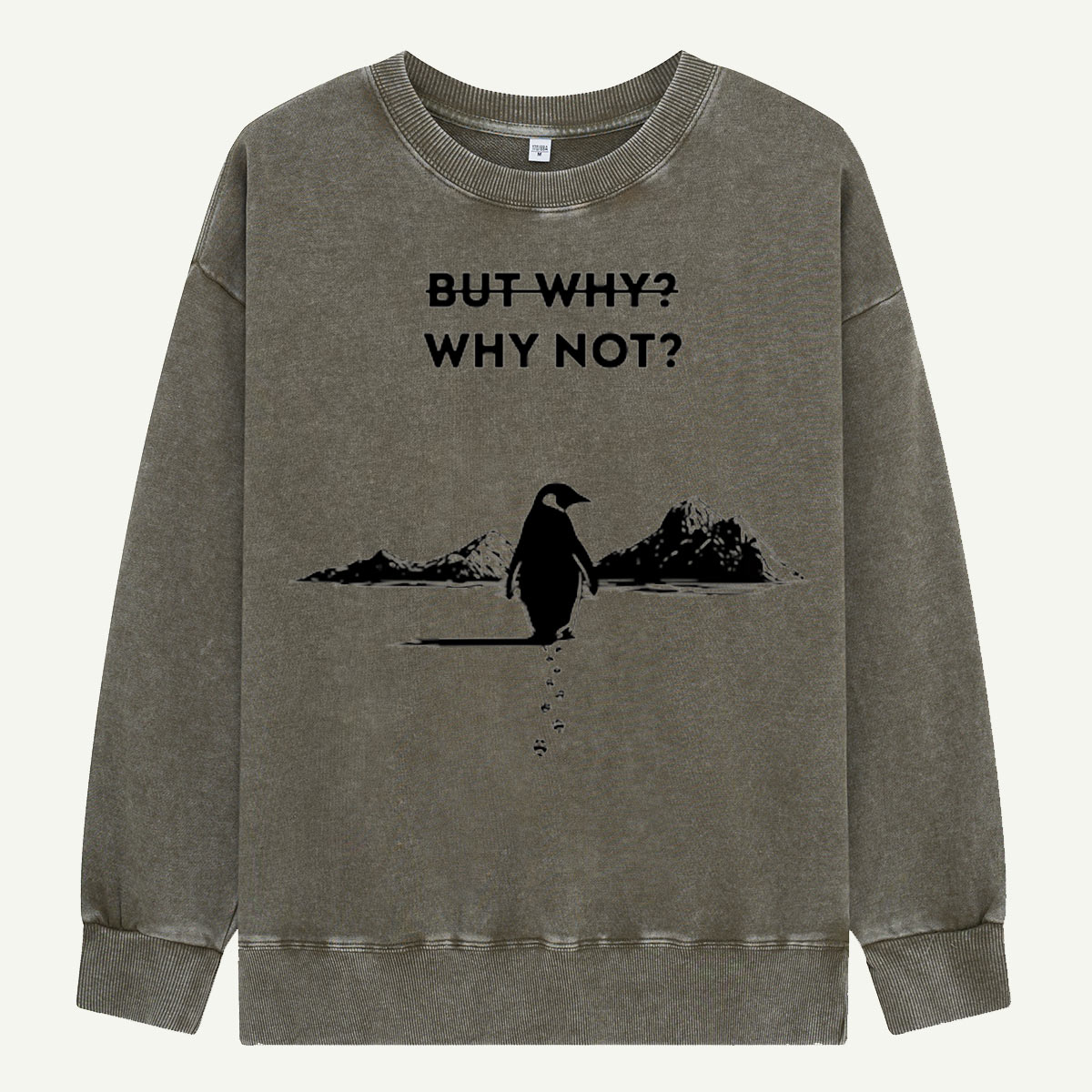 But Why Why Not Penguin Adventure Washed Sweatshirts