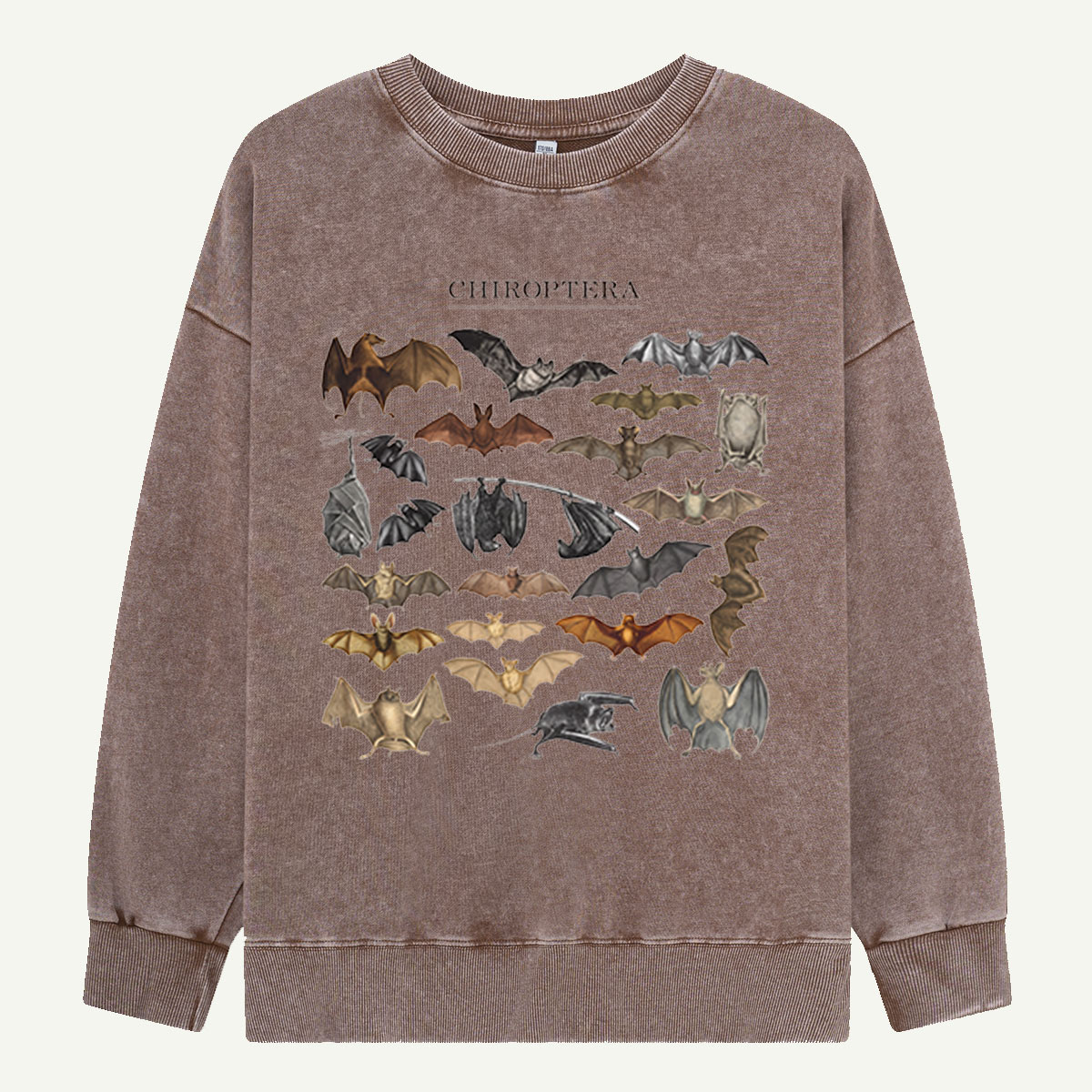 Pumpkin Cat Most Wonderful Washed Sweatshirts