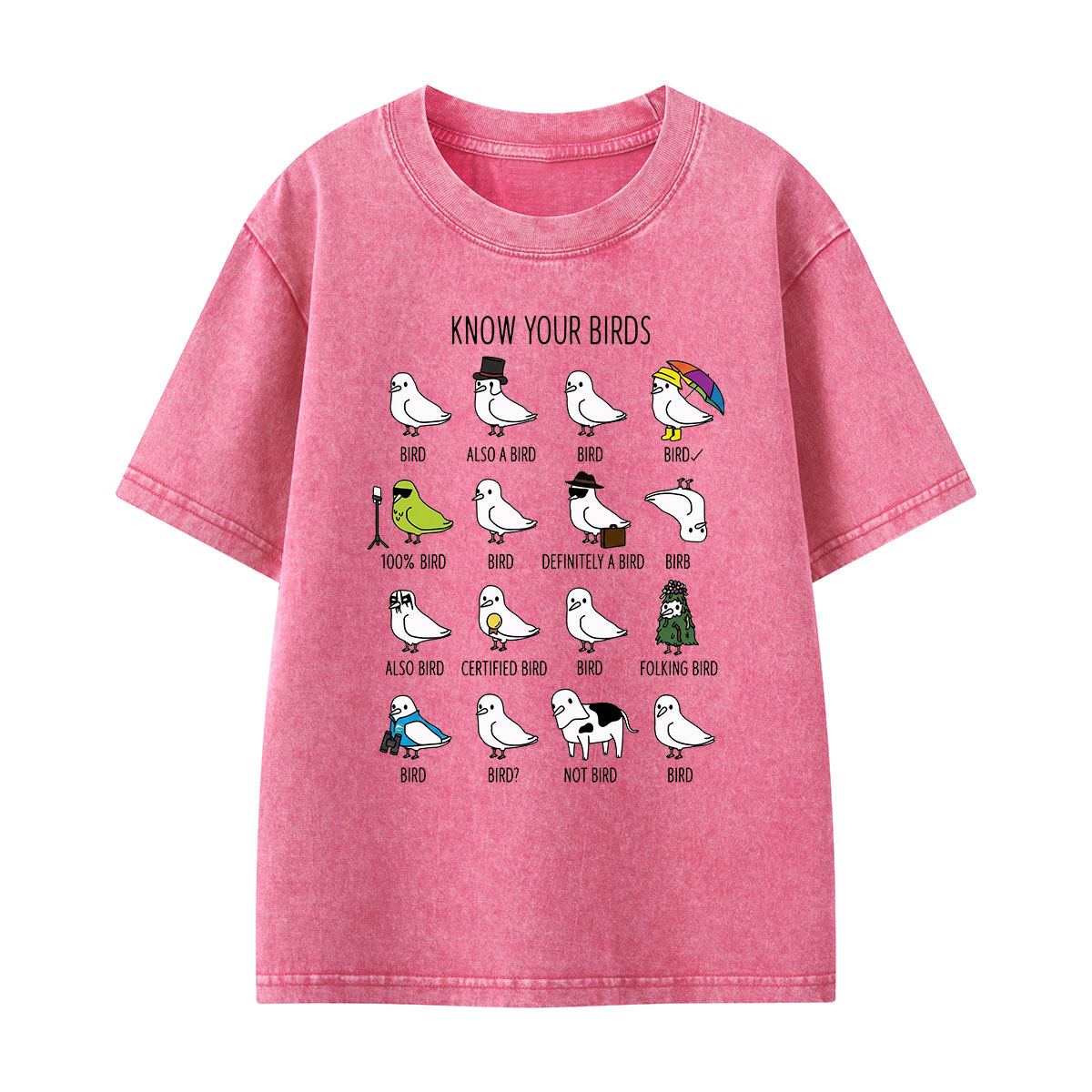 Know Your Birds Bird Chart Kids Washed T-Shirt