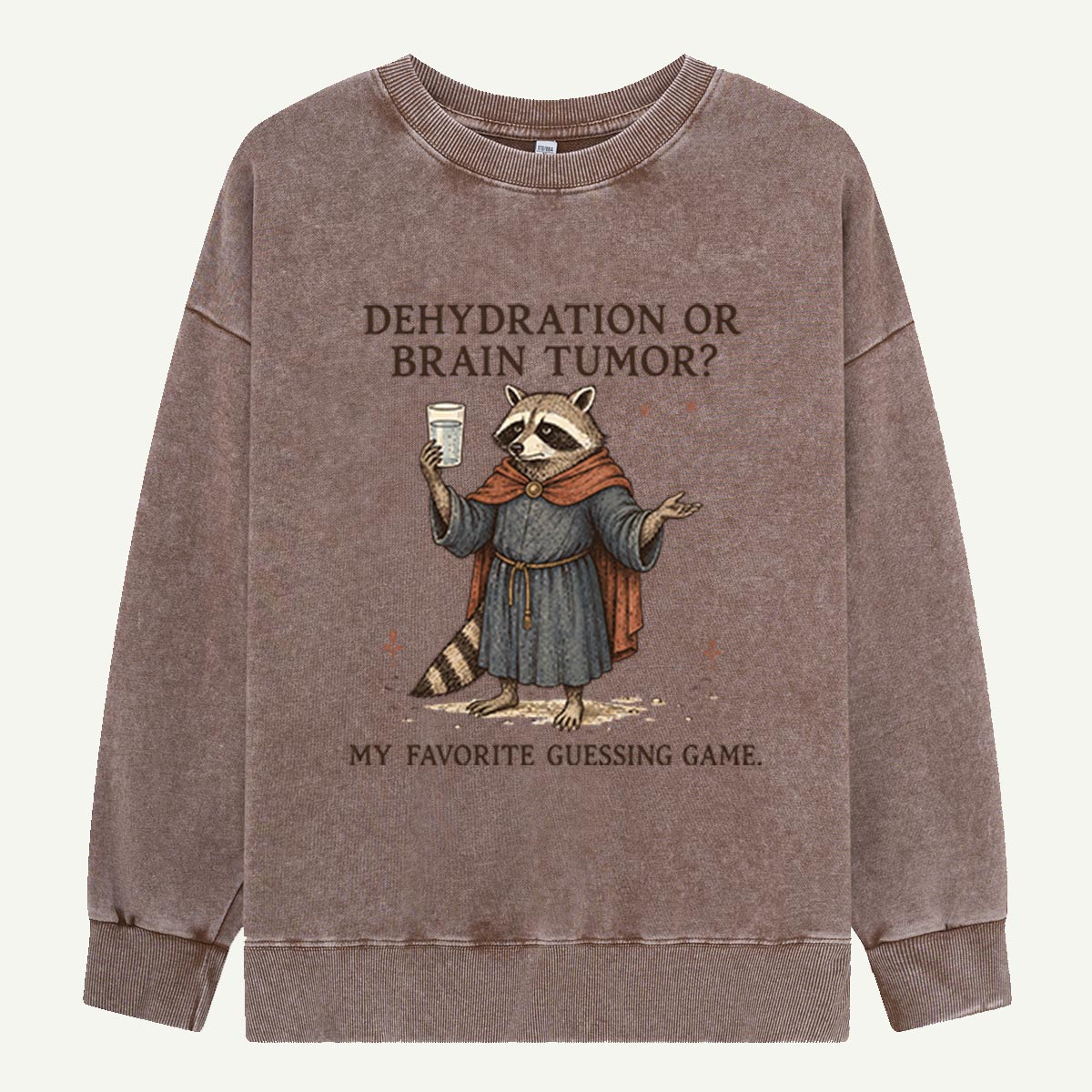 Raccoon’s Questionable Guessing Game Washed Sweatshirts