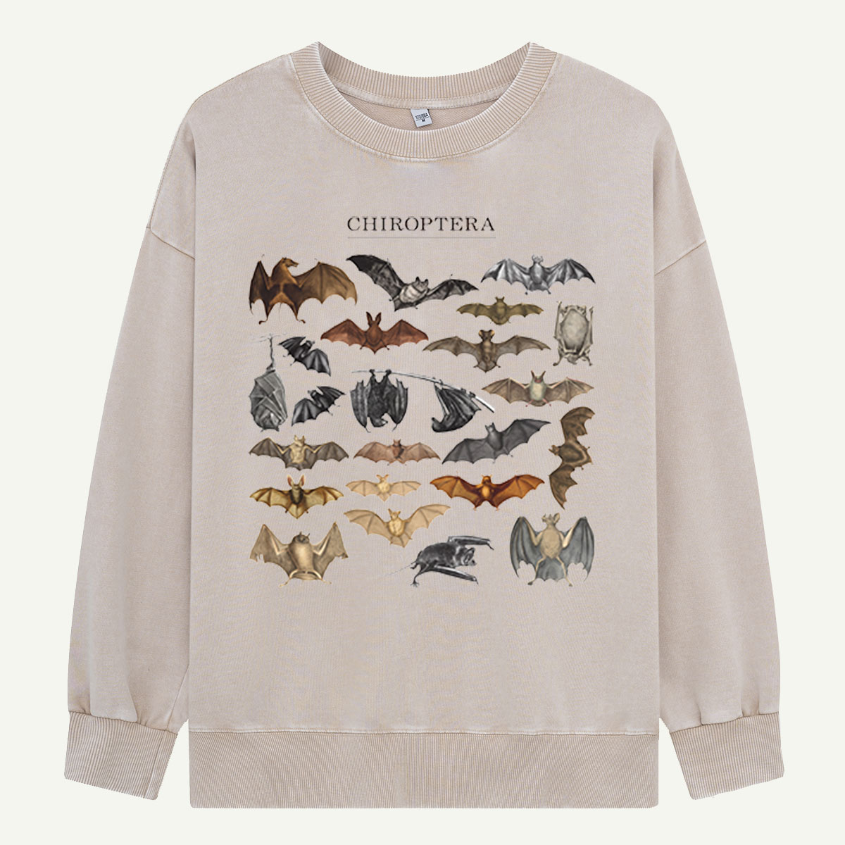 Pumpkin Cat Most Wonderful Washed Sweatshirts