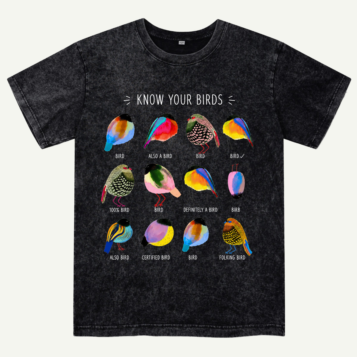 Colorful Bird Guide Washed T-Shirt