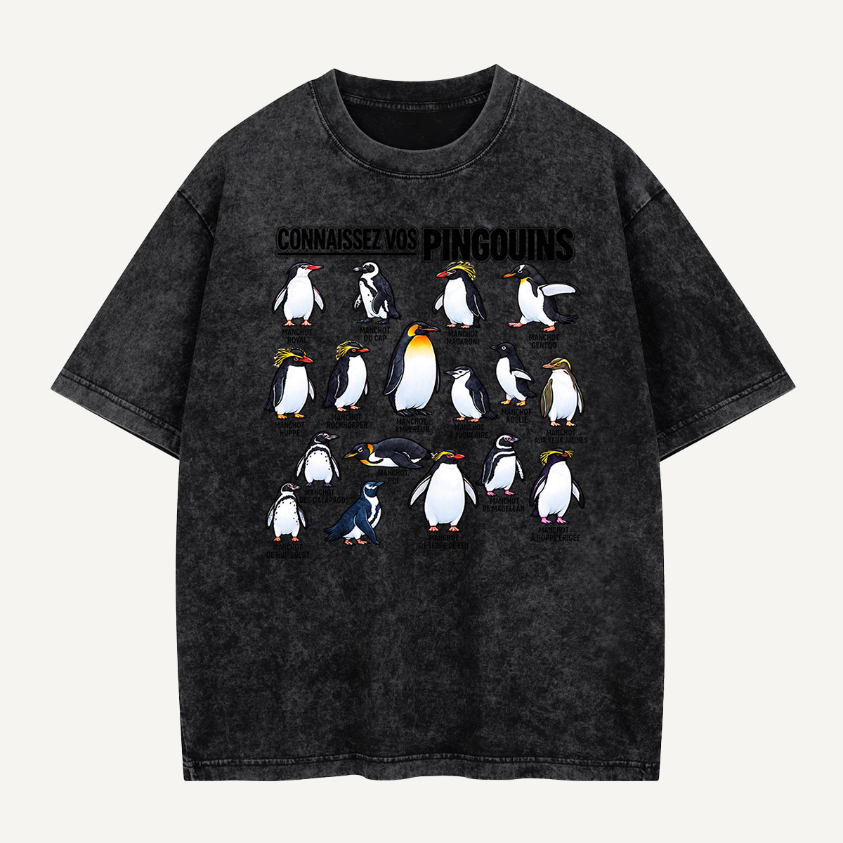 Connaissez Vos Pingouins Penguin Guide Washed T-Shirt