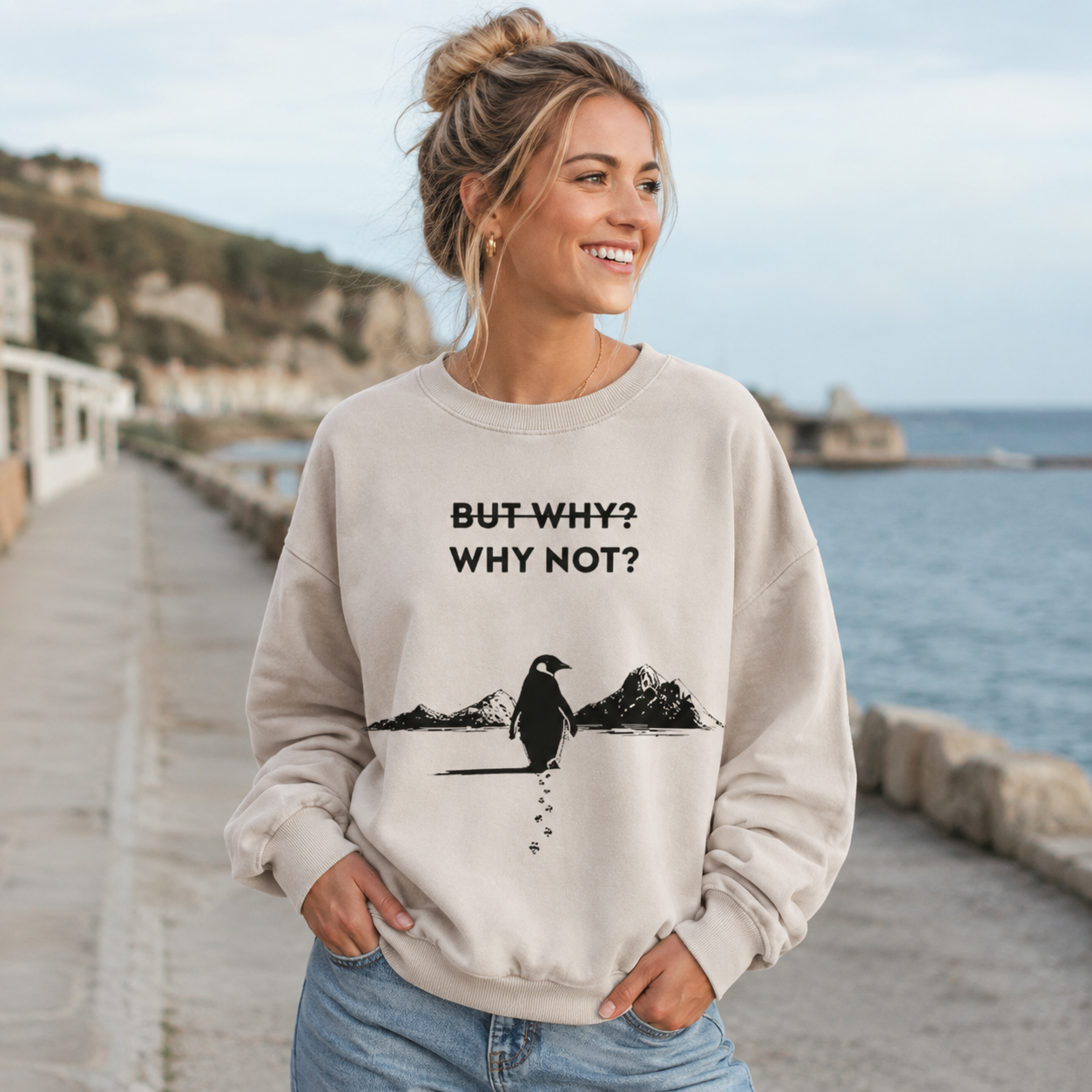 But Why Why Not Penguin Adventure Washed Sweatshirts