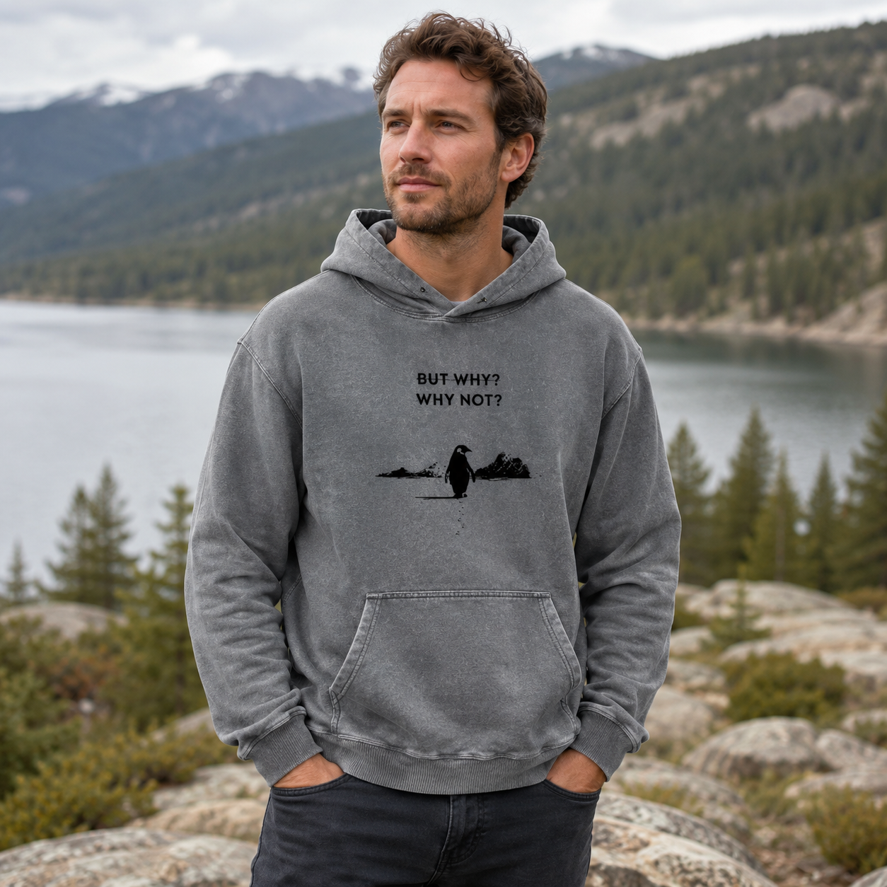 But Why Why Not Penguin Adventure Washed Hoodie