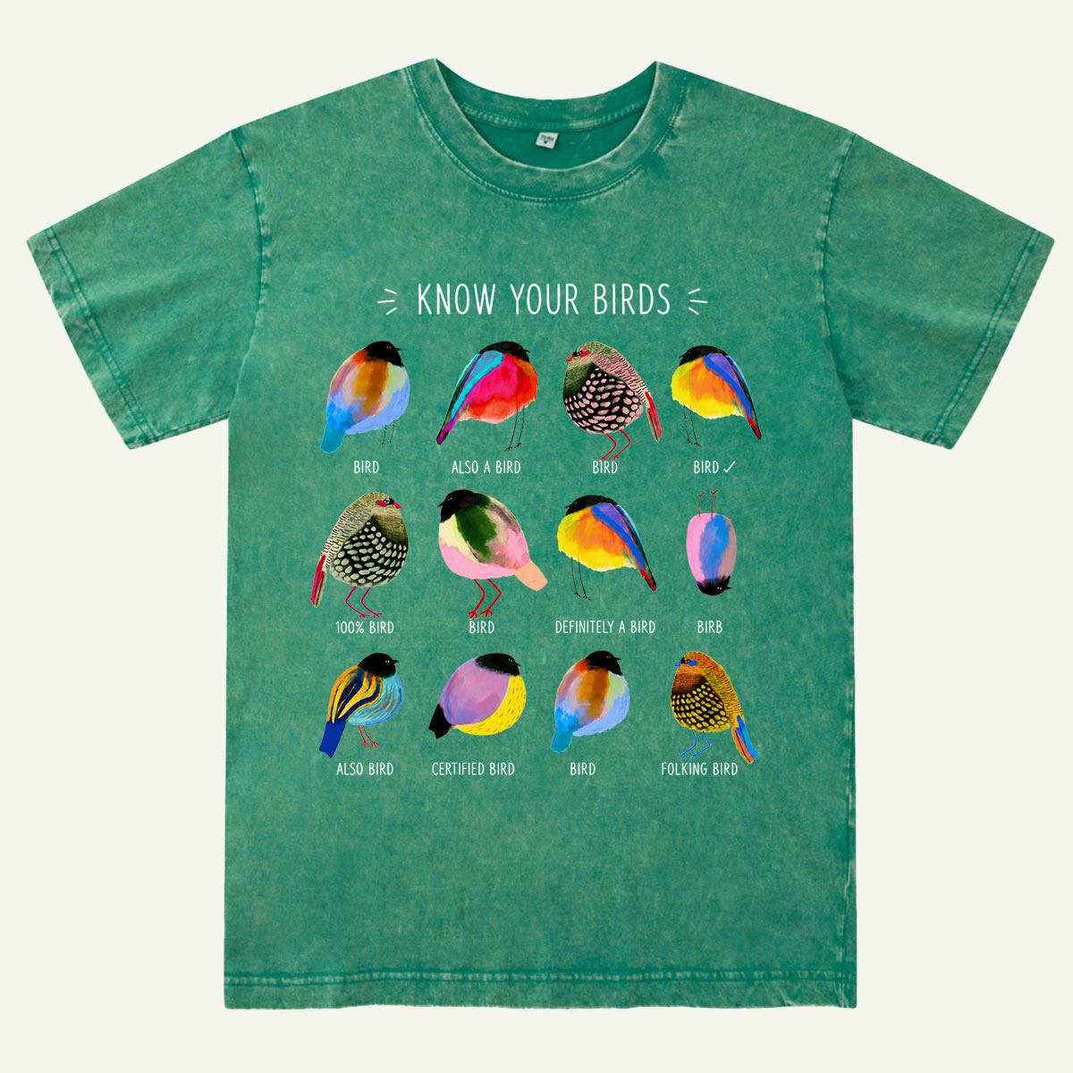 Colorful Bird Guide Washed T-Shirt