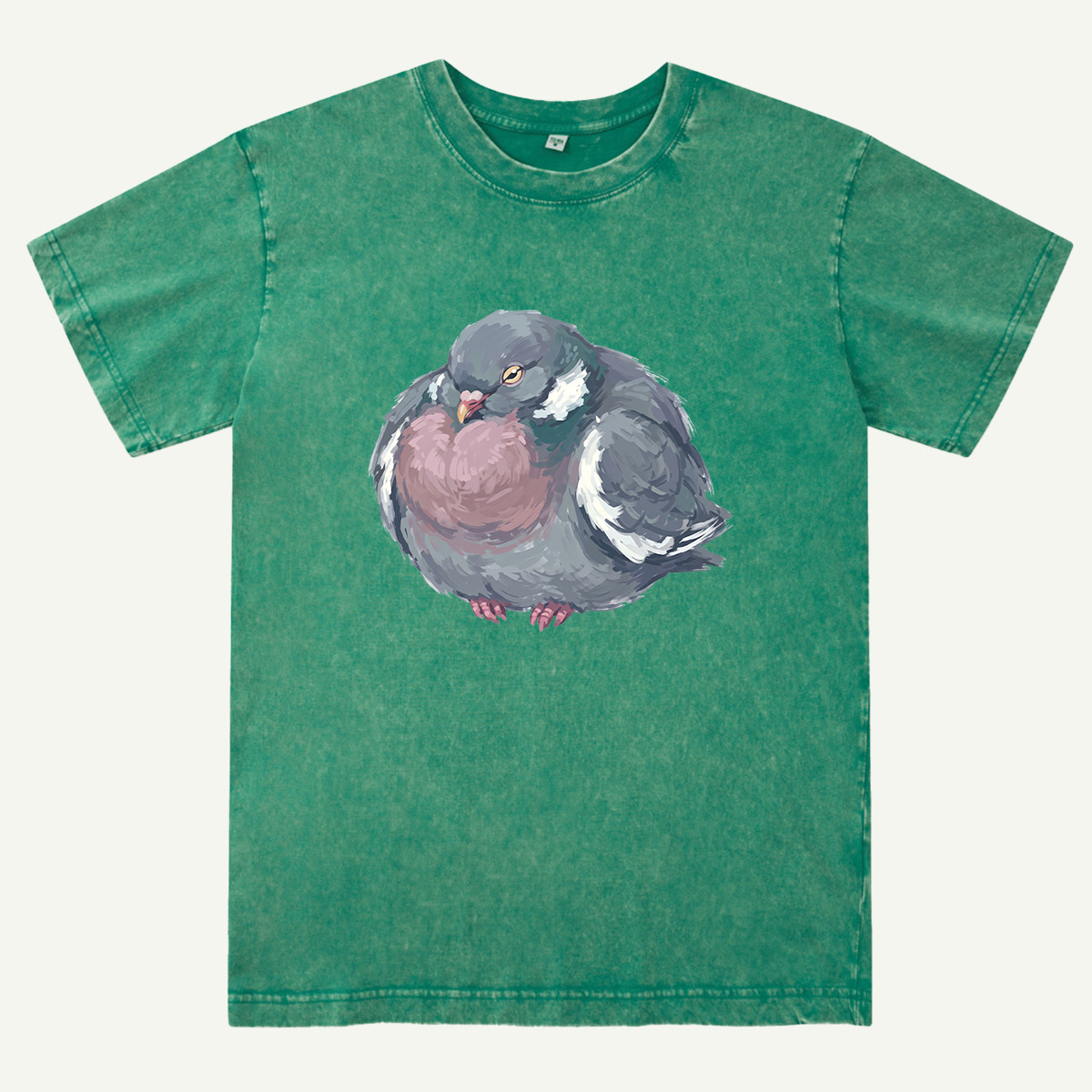 Cozy Pigeon Hand Drawn Bird Washed T-Shirt