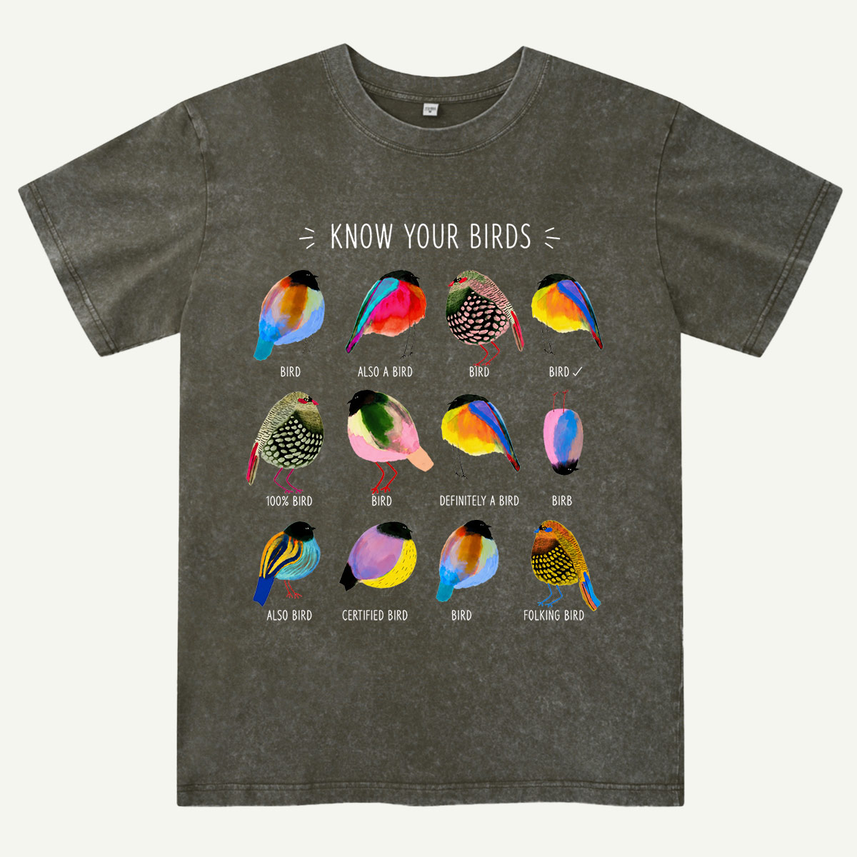 Colorful Bird Guide Washed T-Shirt