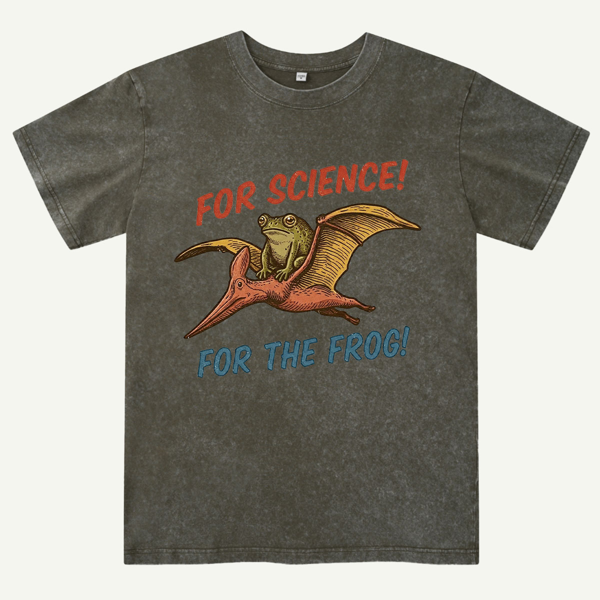 For Science Frog Riding Pterosaur Washed T-Shirt