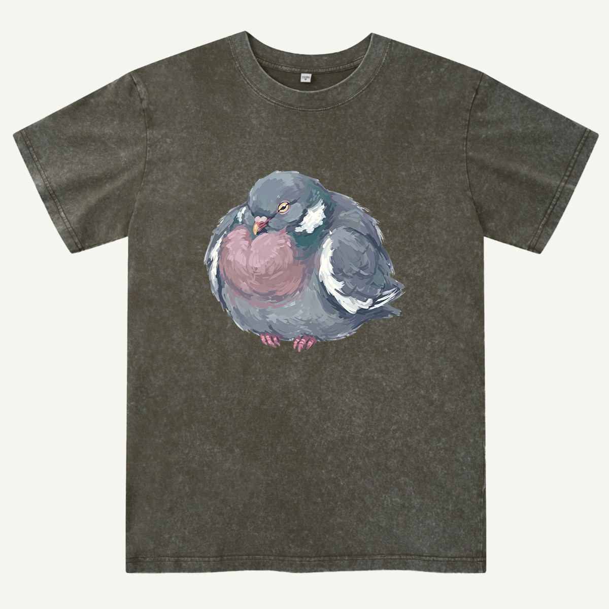 Cozy Pigeon Hand Drawn Bird Washed T-Shirt