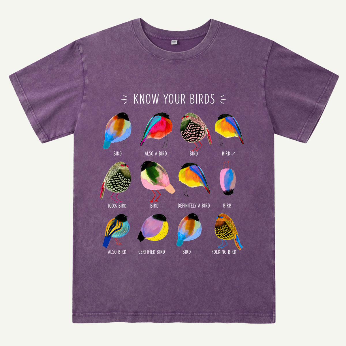 Colorful Bird Guide Washed T-Shirt