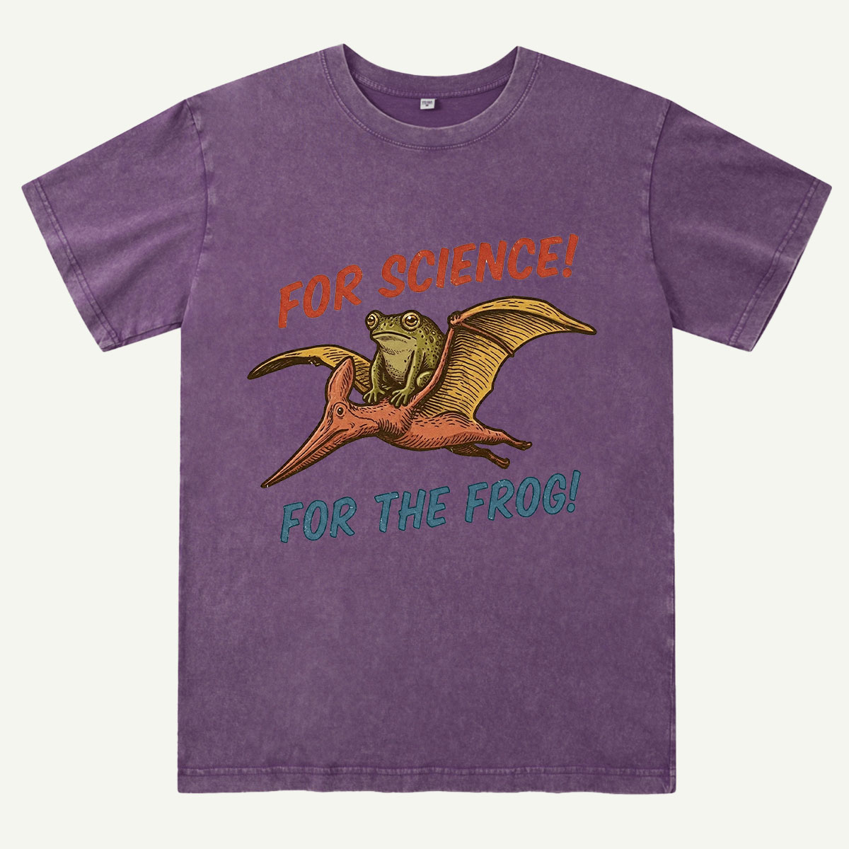 For Science Frog Riding Pterosaur Washed T-Shirt