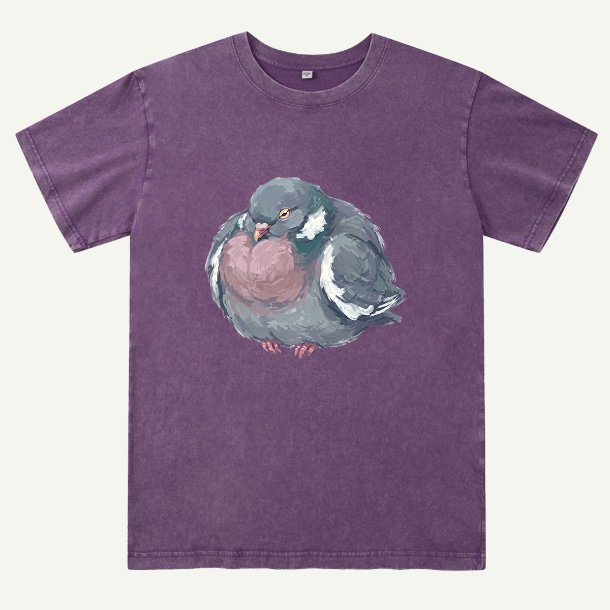 Cozy Pigeon Hand Drawn Bird Washed T-Shirt