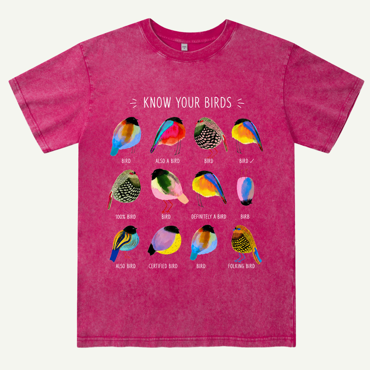 Colorful Bird Guide Washed T-Shirt