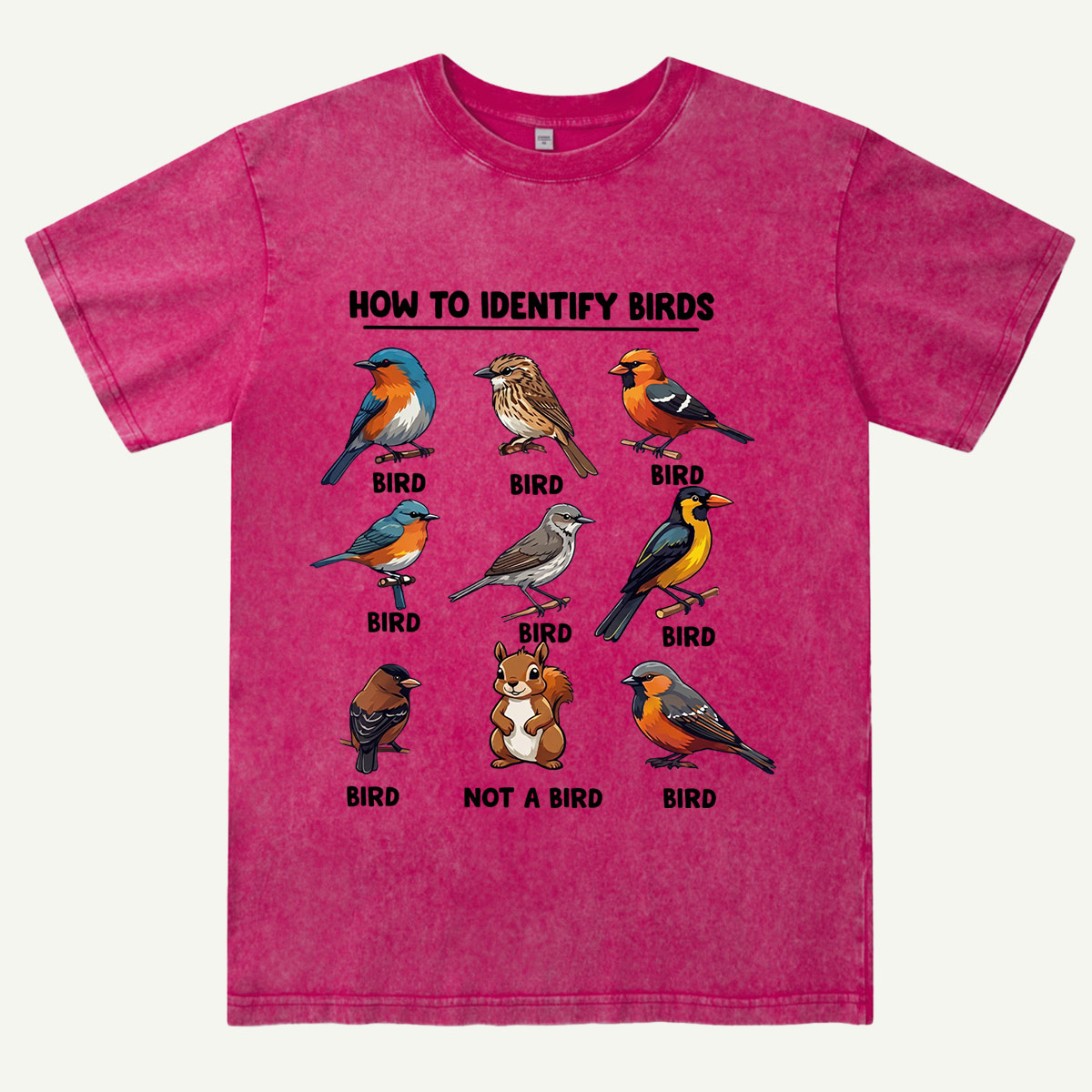 Funny Bird How to Identify Birds Washed T-Shirt