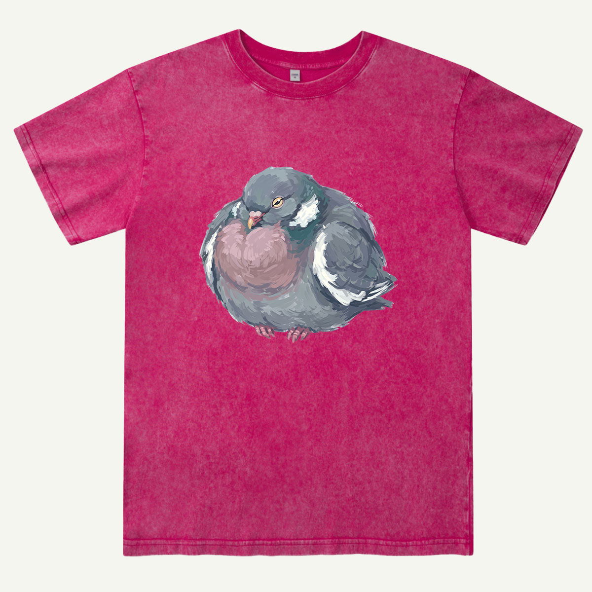 Cozy Pigeon Hand Drawn Bird Washed T-Shirt