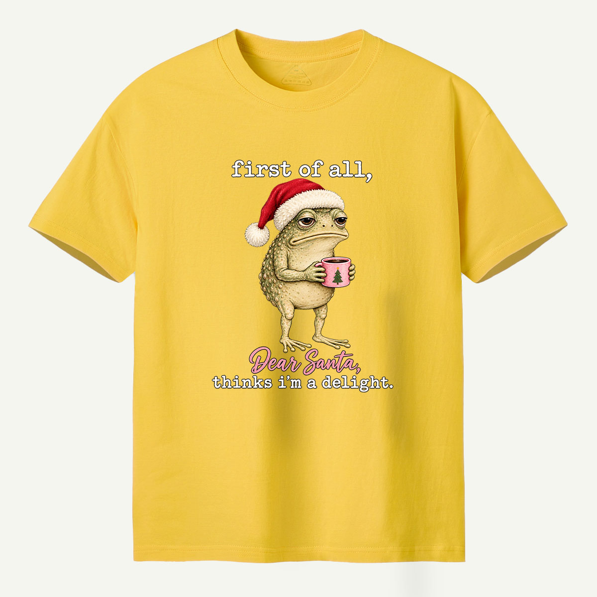 First Of All Dear Santa Thinks Im A Delight T-Shirt