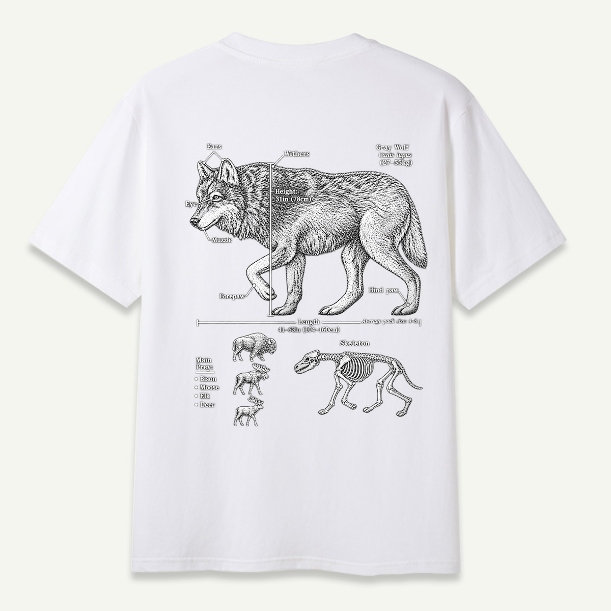 Wolf C Lupus Anatomy Diagram T-Shirt