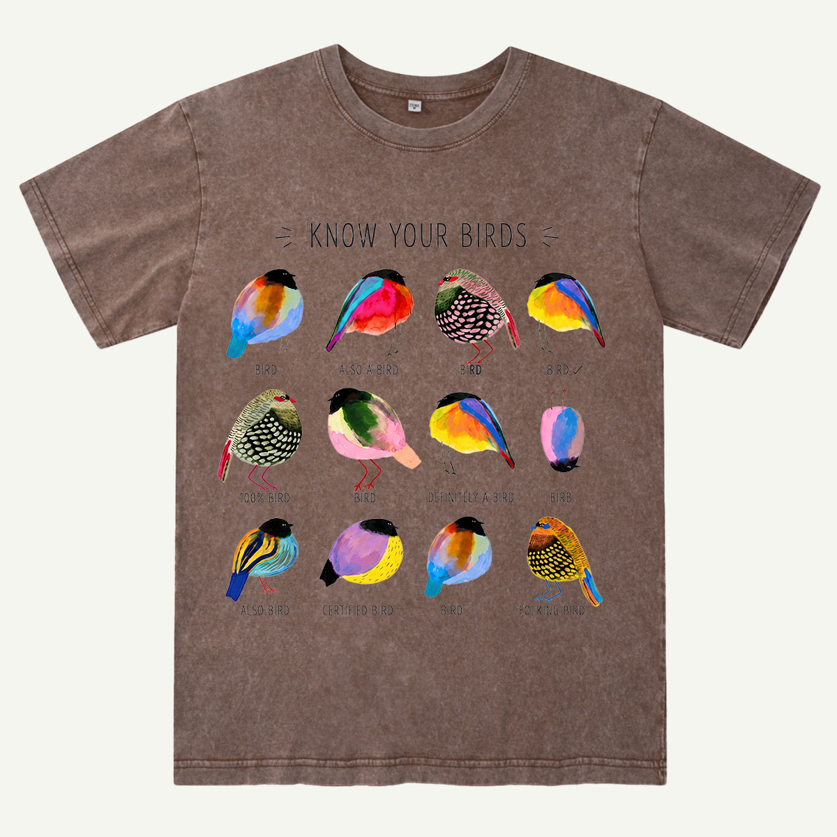 Colorful Bird Guide Washed T-Shirt