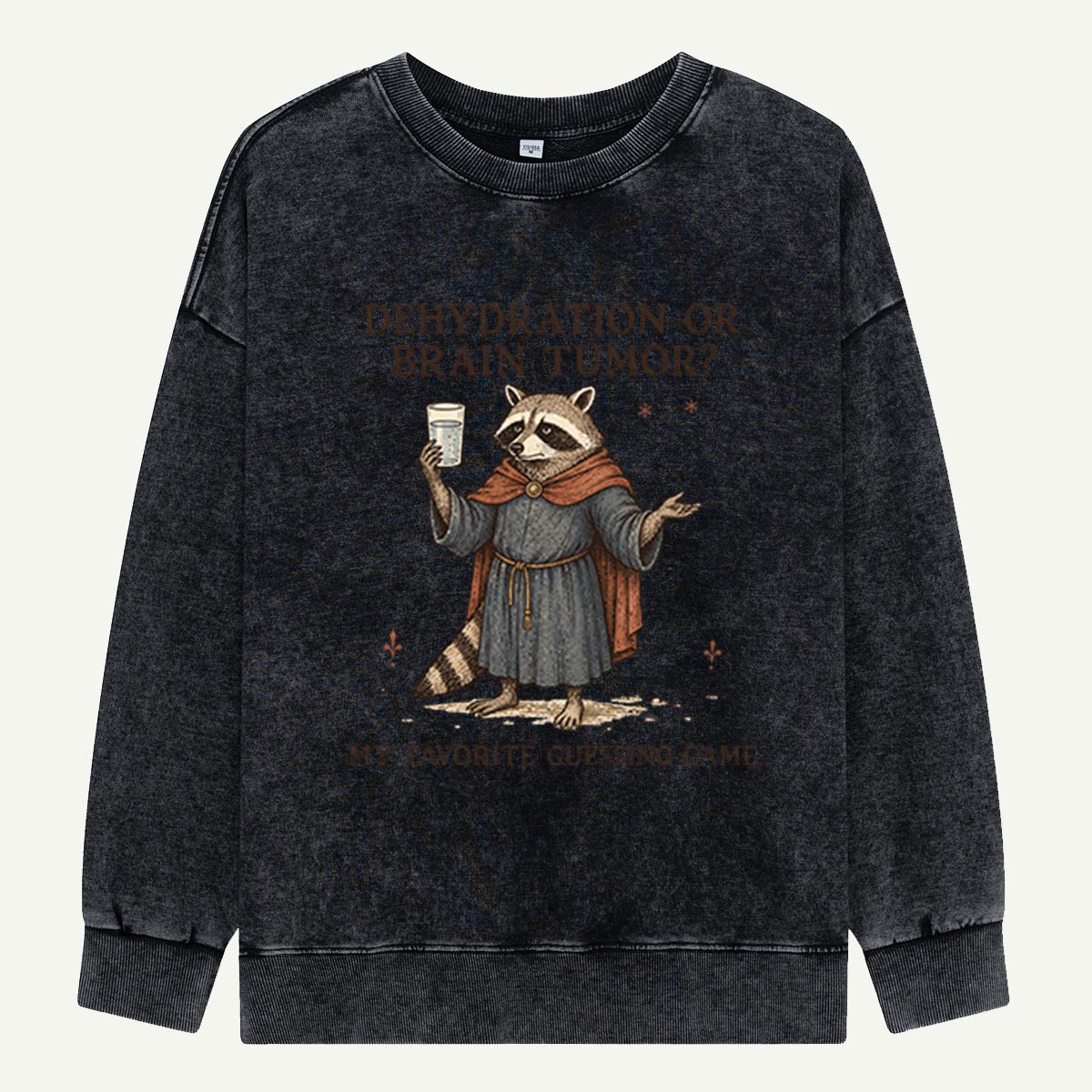 Raccoon’s Questionable Guessing Game Washed Sweatshirts