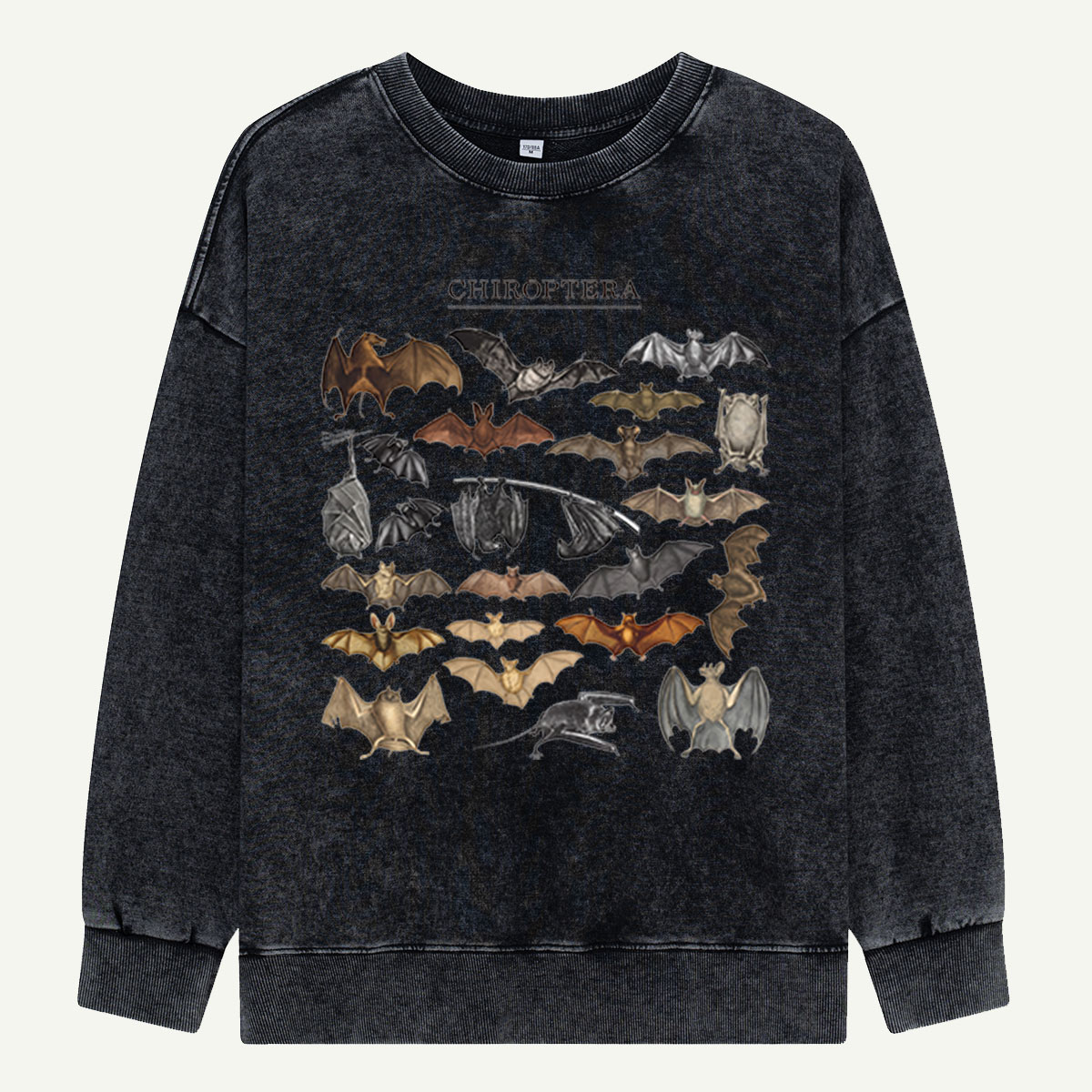 Pumpkin Cat Most Wonderful Washed Sweatshirts