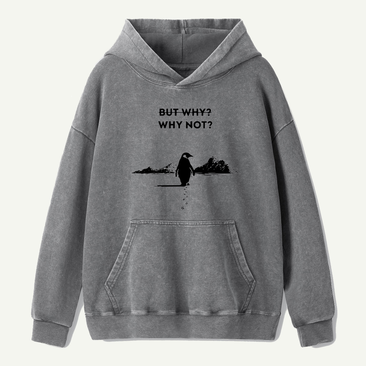 But Why Why Not Penguin Adventure Washed Hoodie