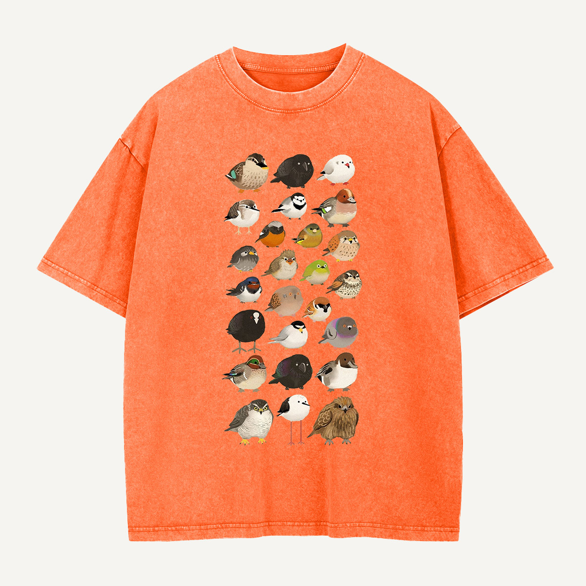 Bird Species Illustration Washed T-Shirt