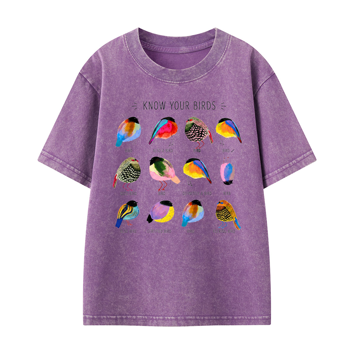 Colorful Bird Guide Kids Washed T-Shirt