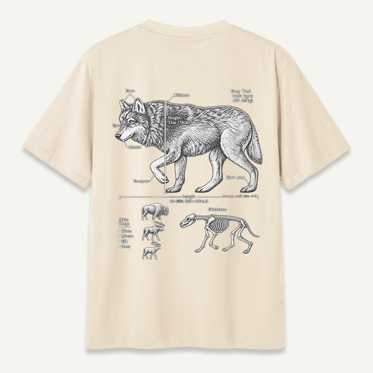 Wolf C Lupus Anatomy Diagram T-Shirt
